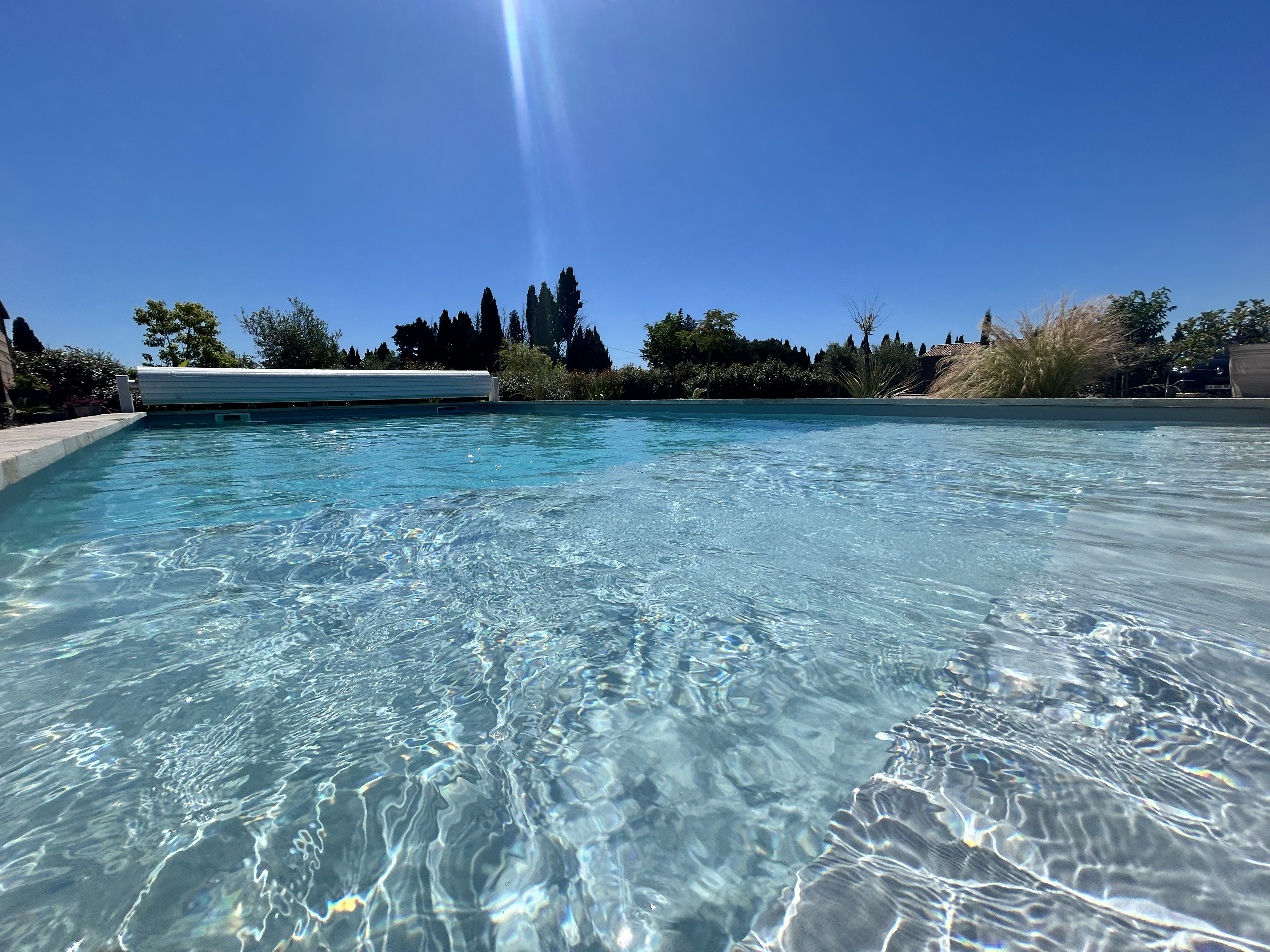 La Picholine en Provence