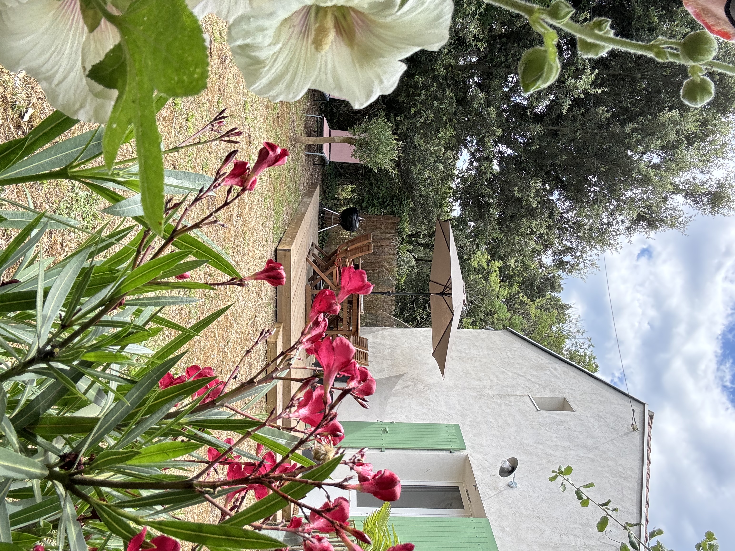La Dune house 80m from the beach