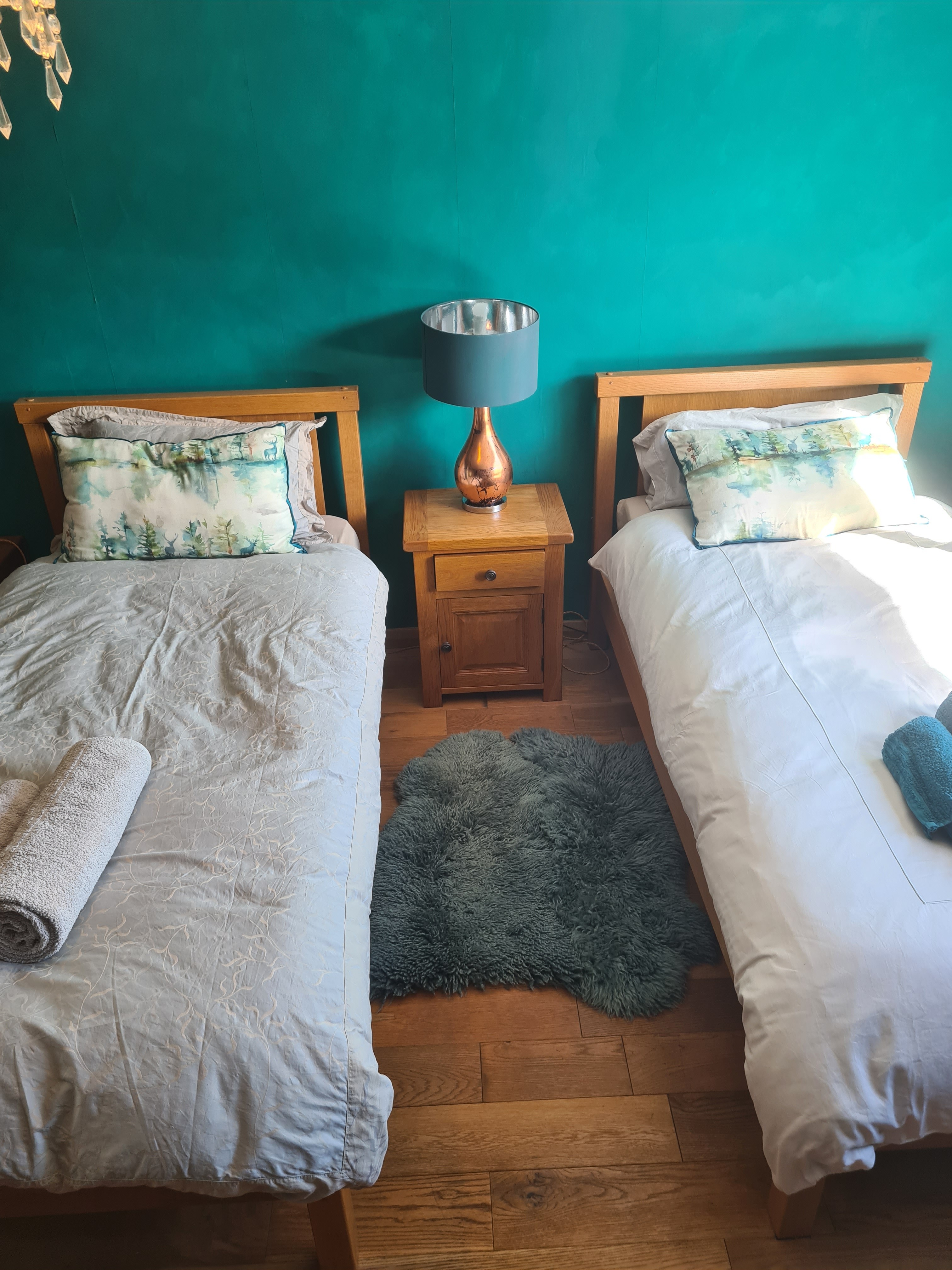 Large ensuite twin room in Shirehampton, Bristol in Avonmouth & Lawrence Weston, Bristol