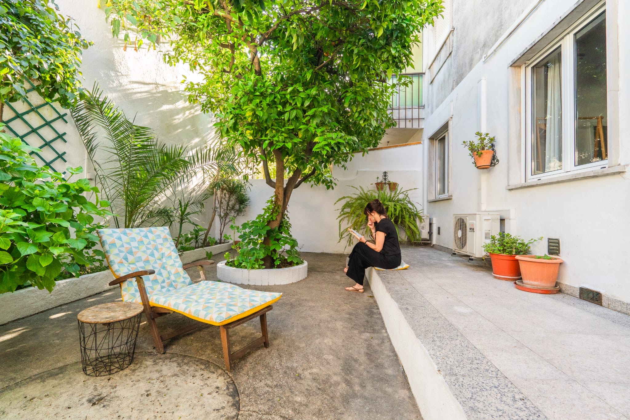 Orange tree yard