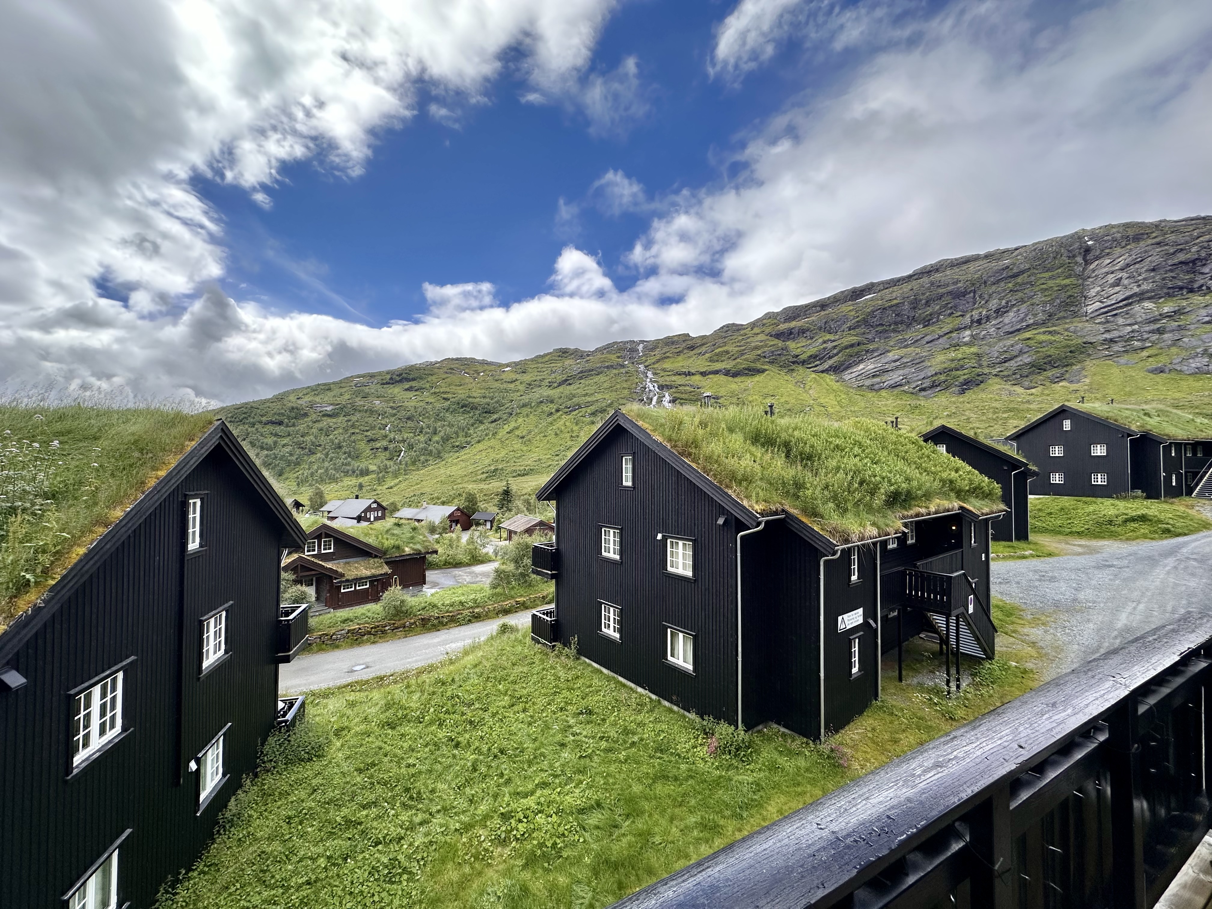 The Røldal Family Apartment
