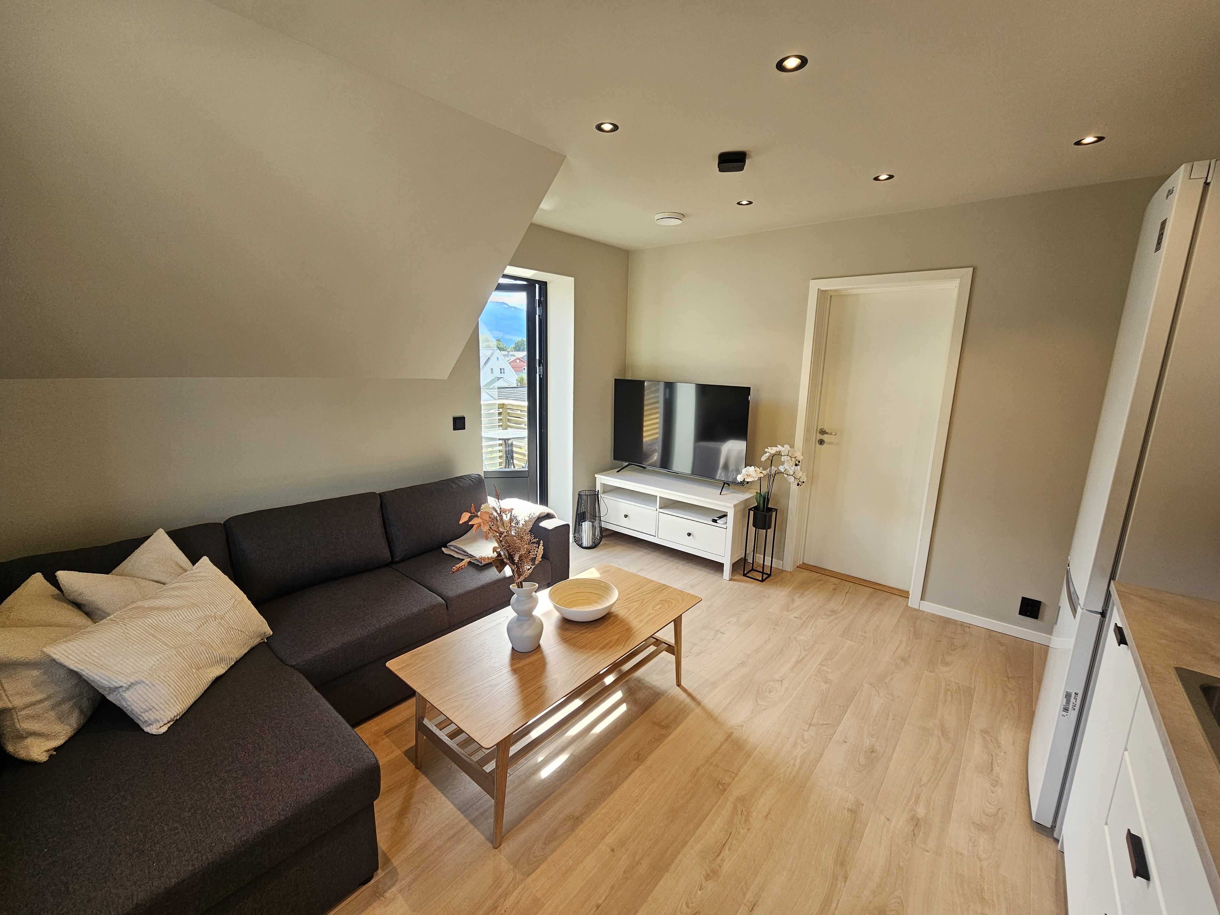 Downtown newly renovated apartment