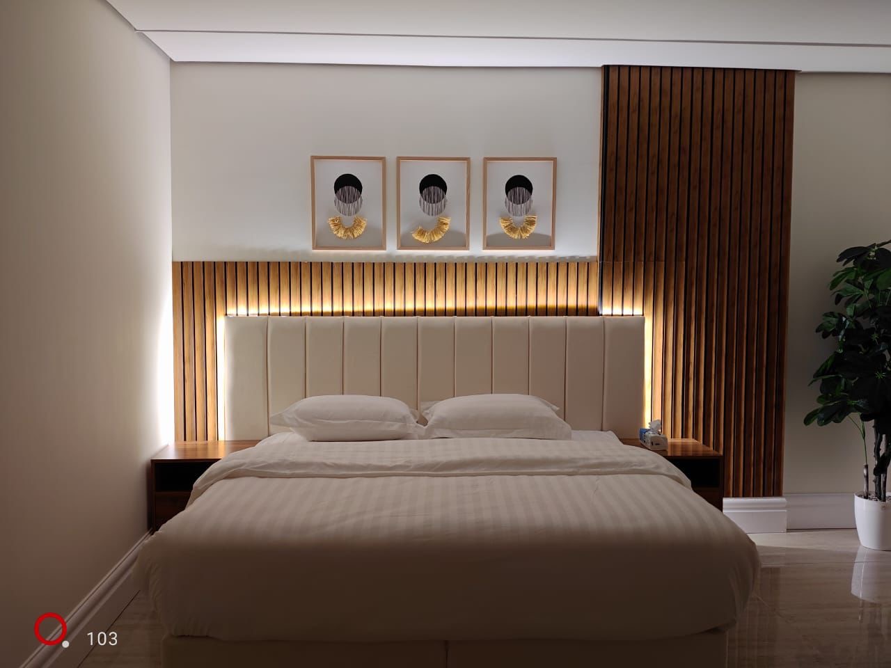 Stylish Apartment Alia