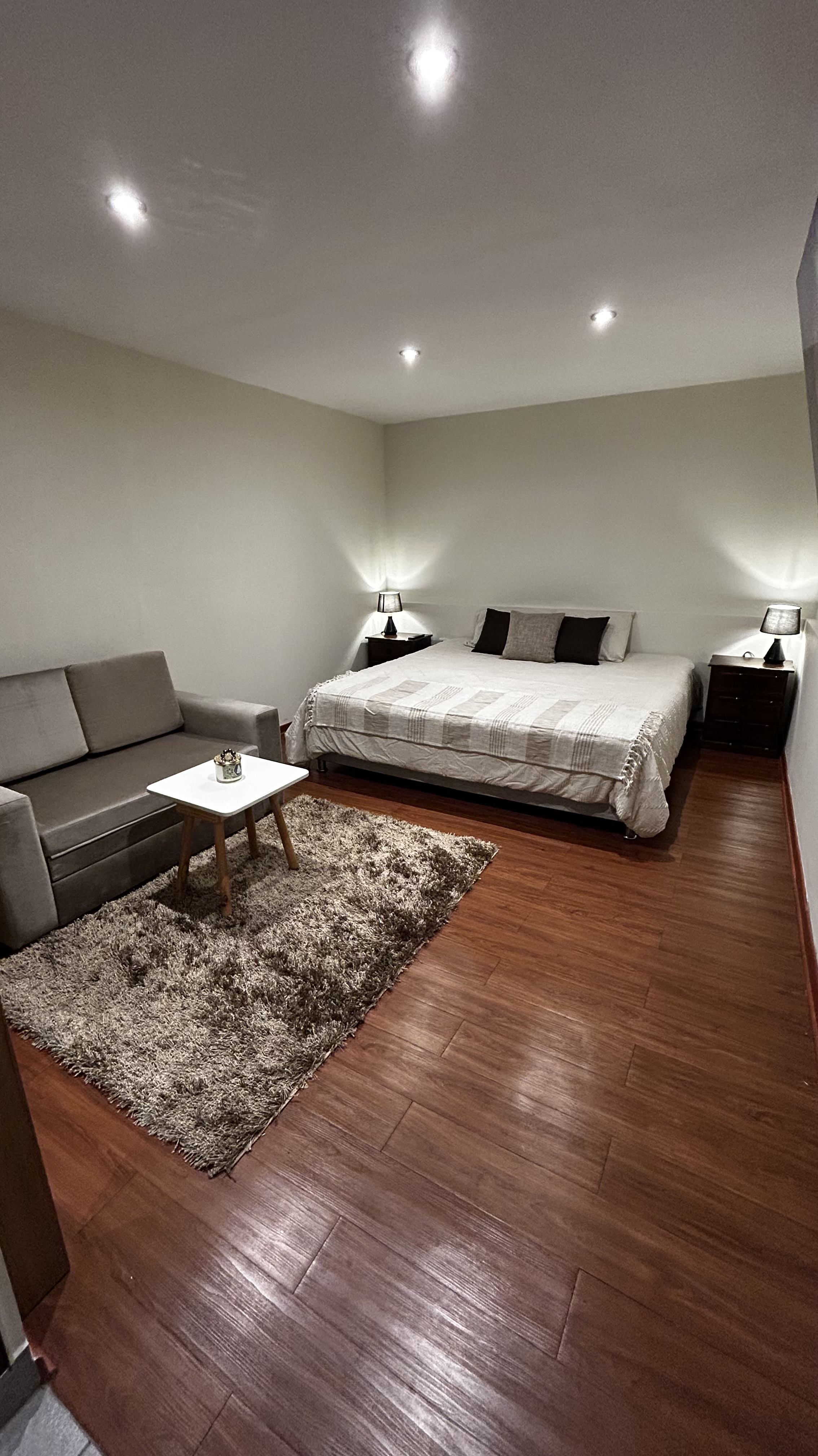 Adorable minidepa with king bed in Chorrillos