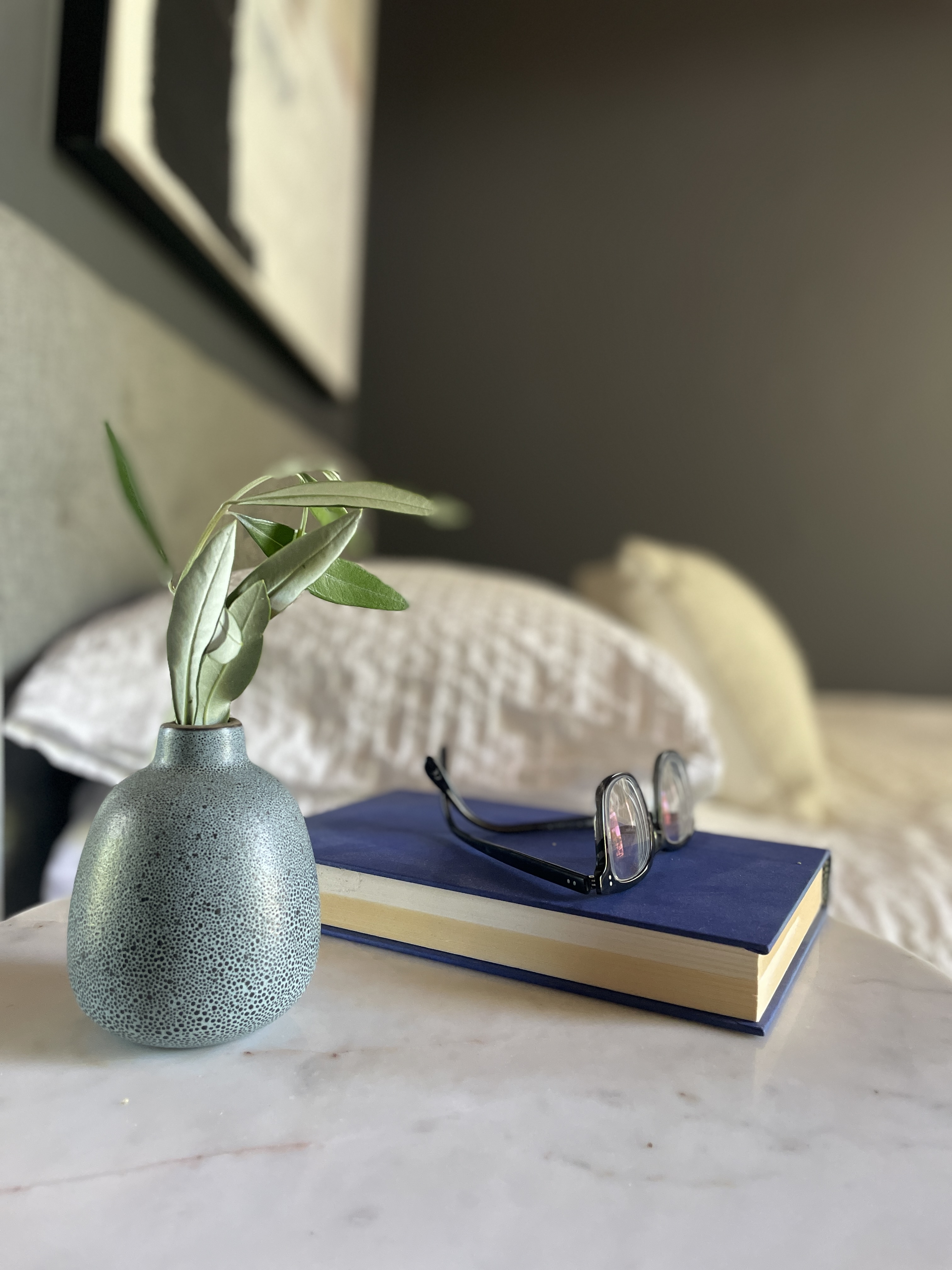 Cozy, Cool Studio Bungalow in Temescal in Temescal, Oakland