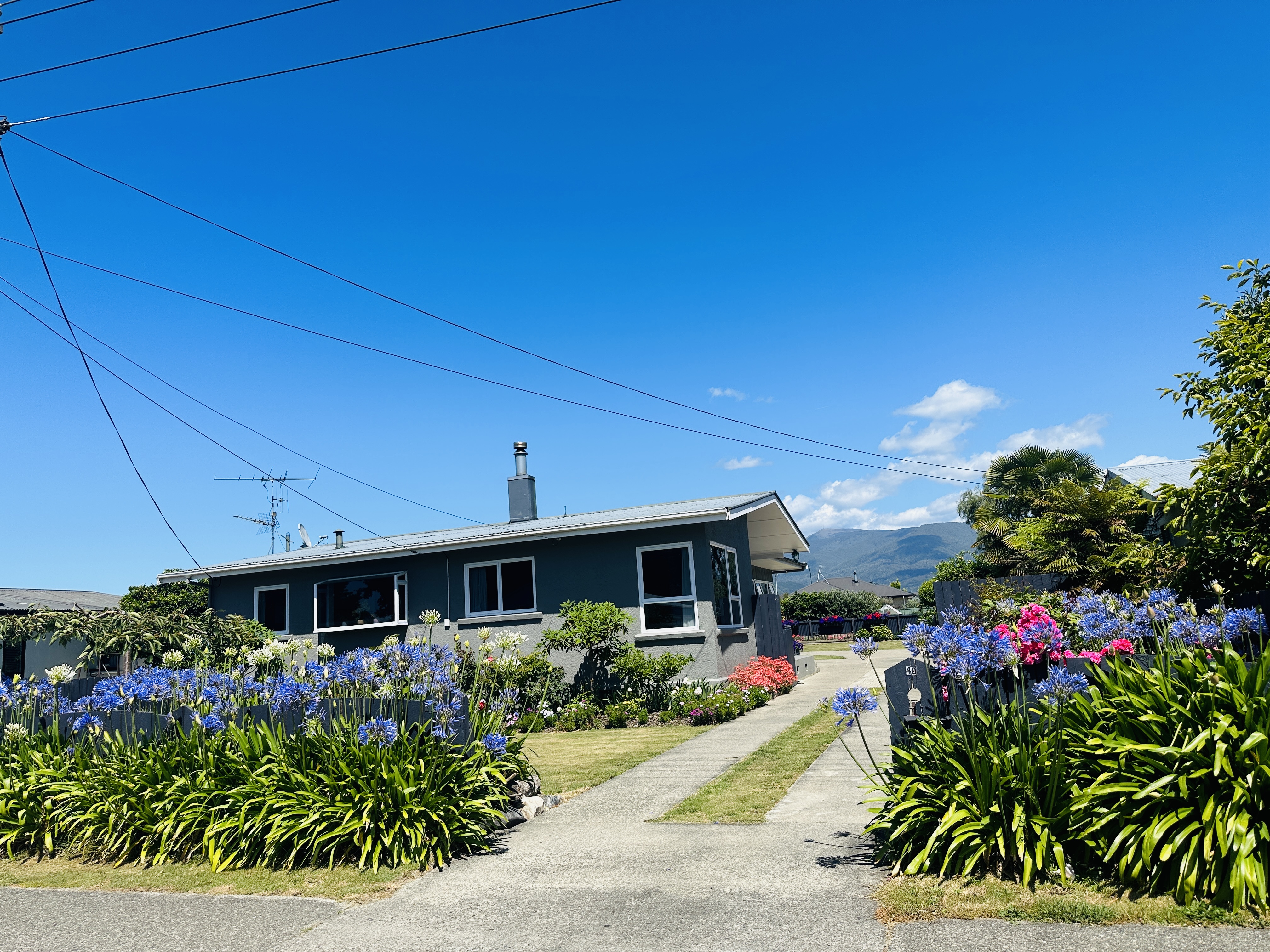 The best position in Motueka!