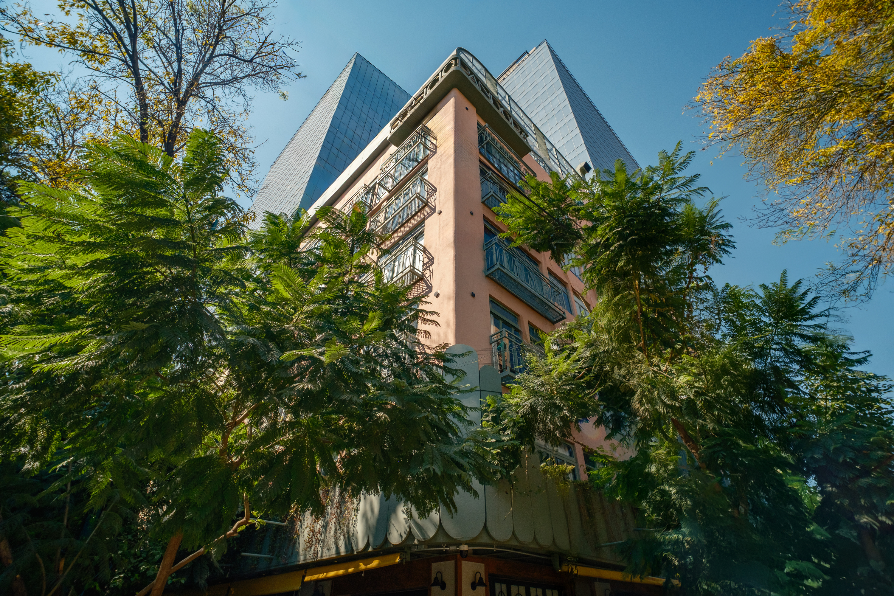 Pandora | 1BR Suite steps from Reforma and Roma