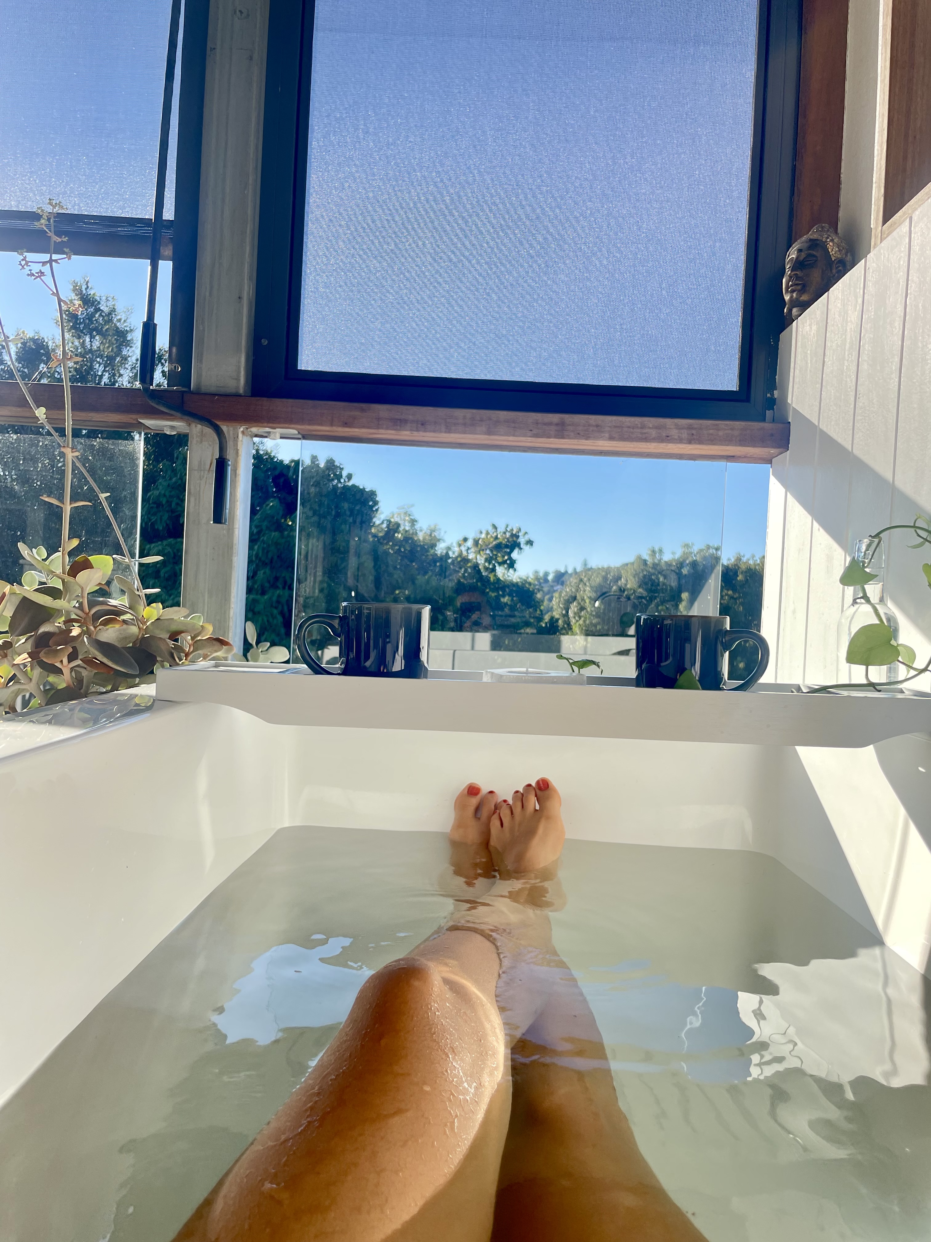 Eco Treehouse Sanctuary | Romantic Hideaway in TWEED SHIRE COUNCIL, Northern Rivers