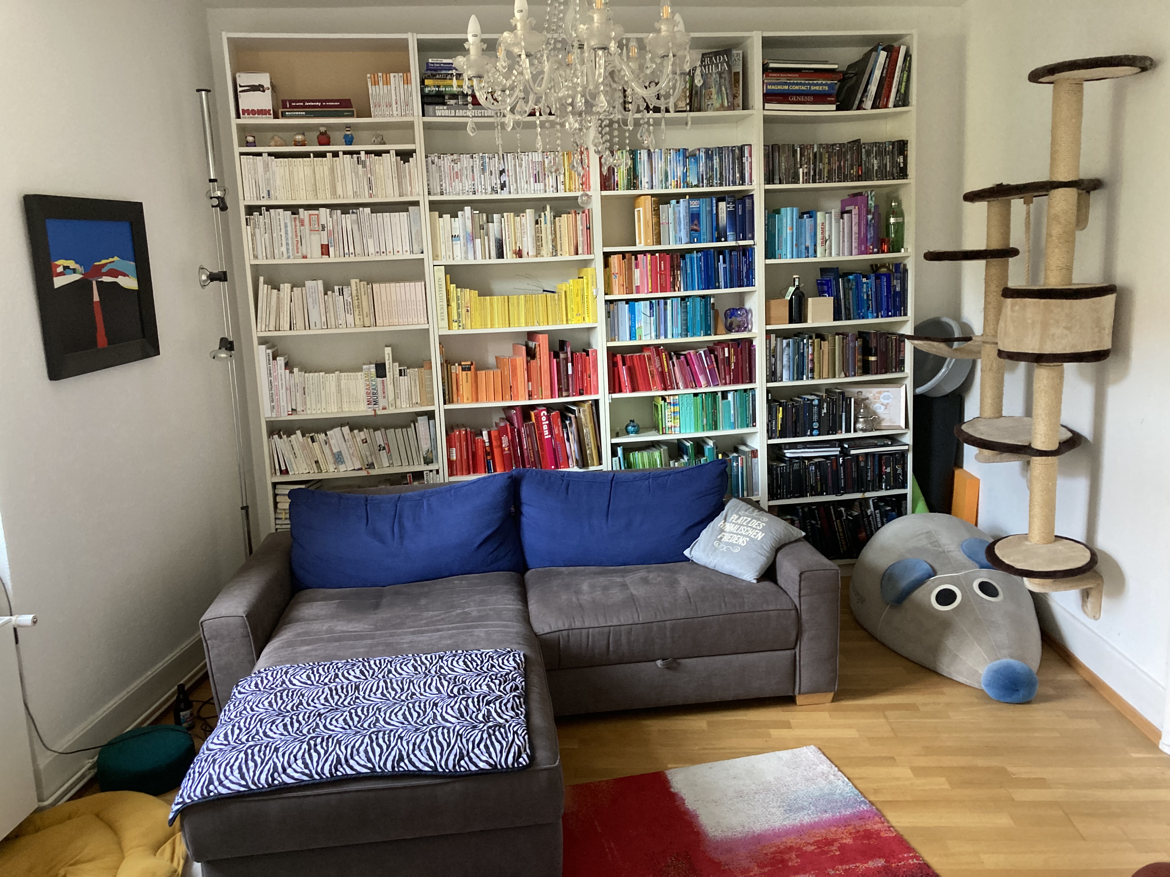 Lovely private room in Frankfurt