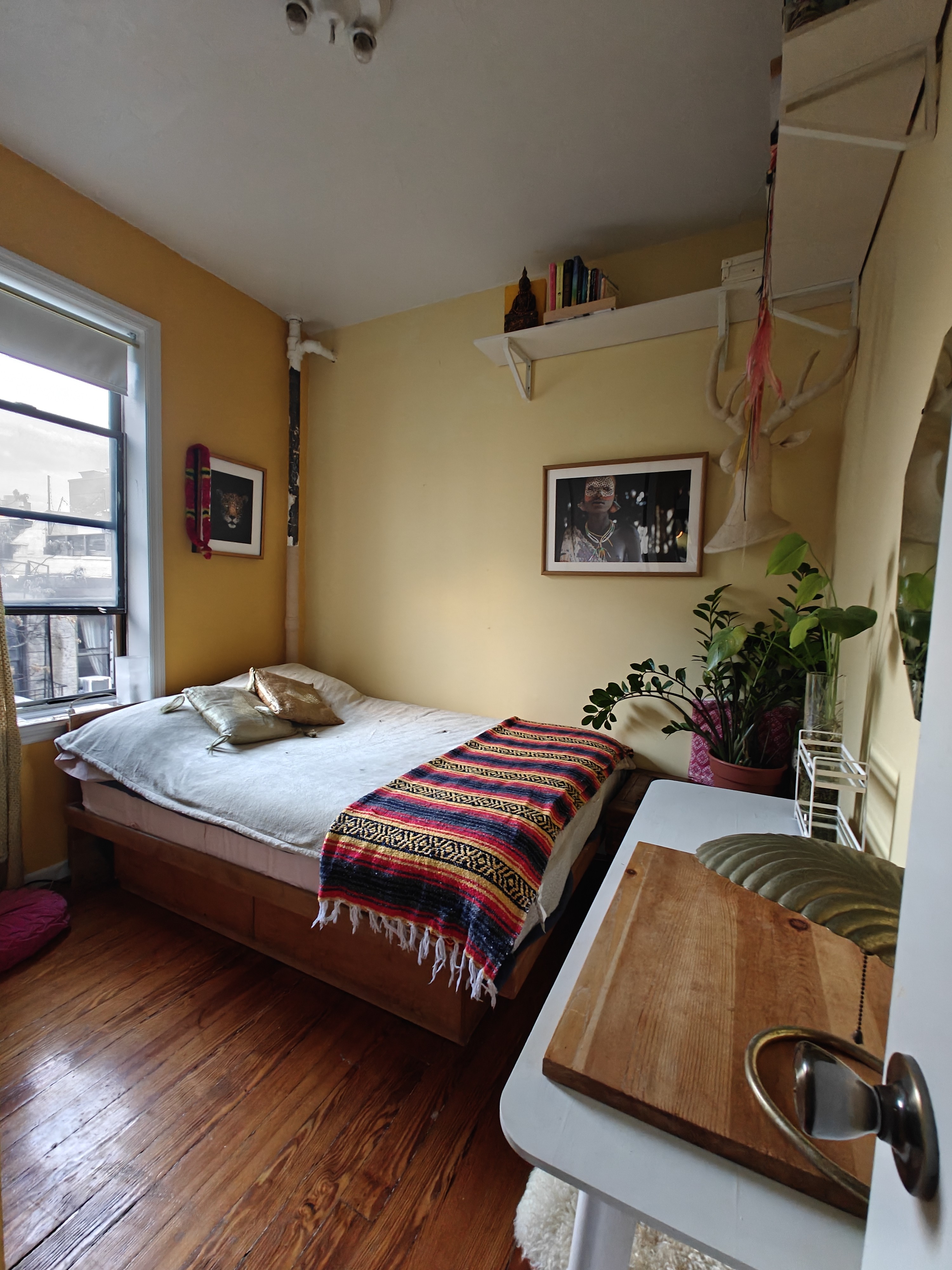 Very, very cozy place in Williamsburg, New York City