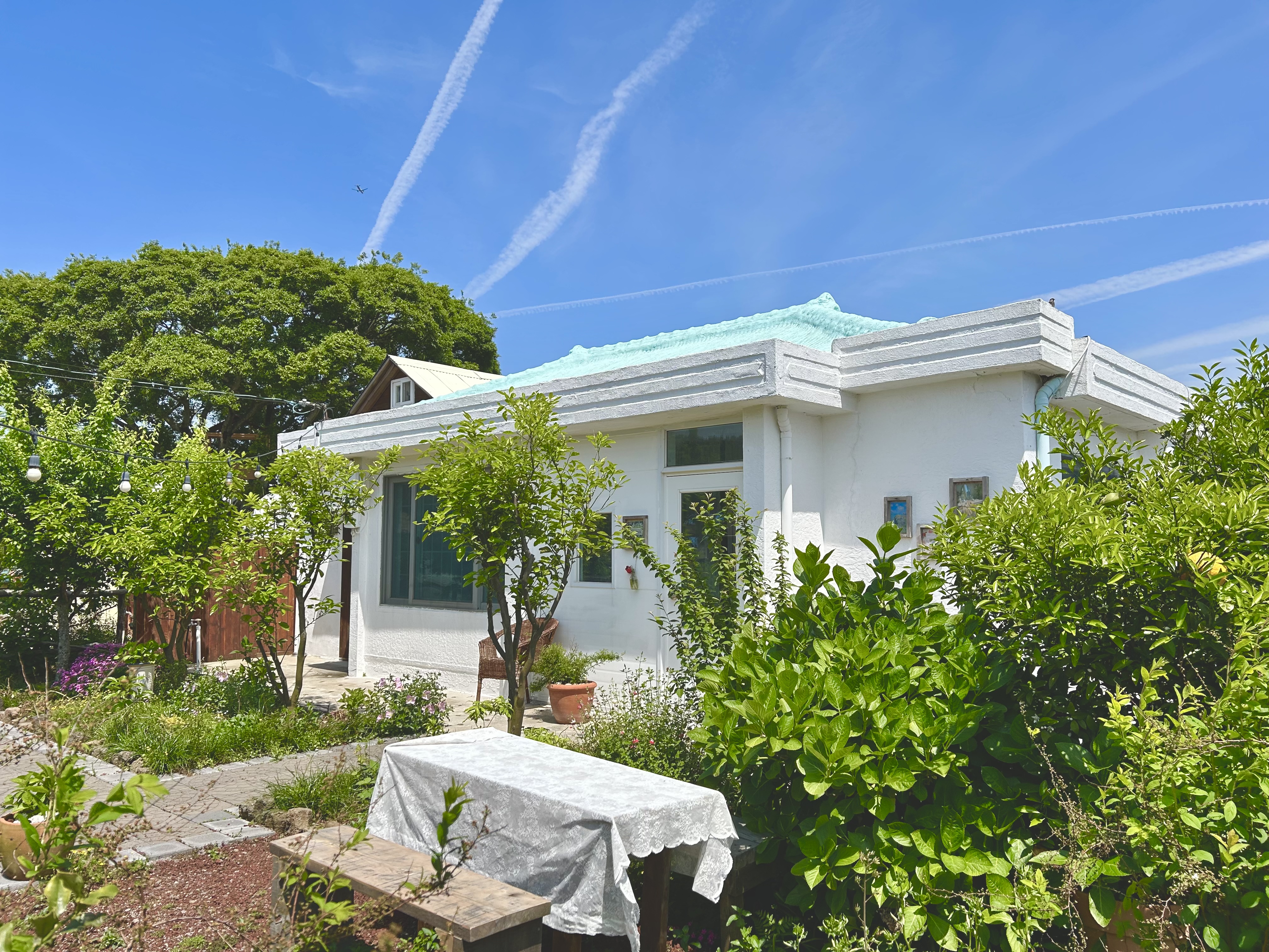 Heavenly Bird [Fairytale Sensational Accommodation, Snapshot, Private House]