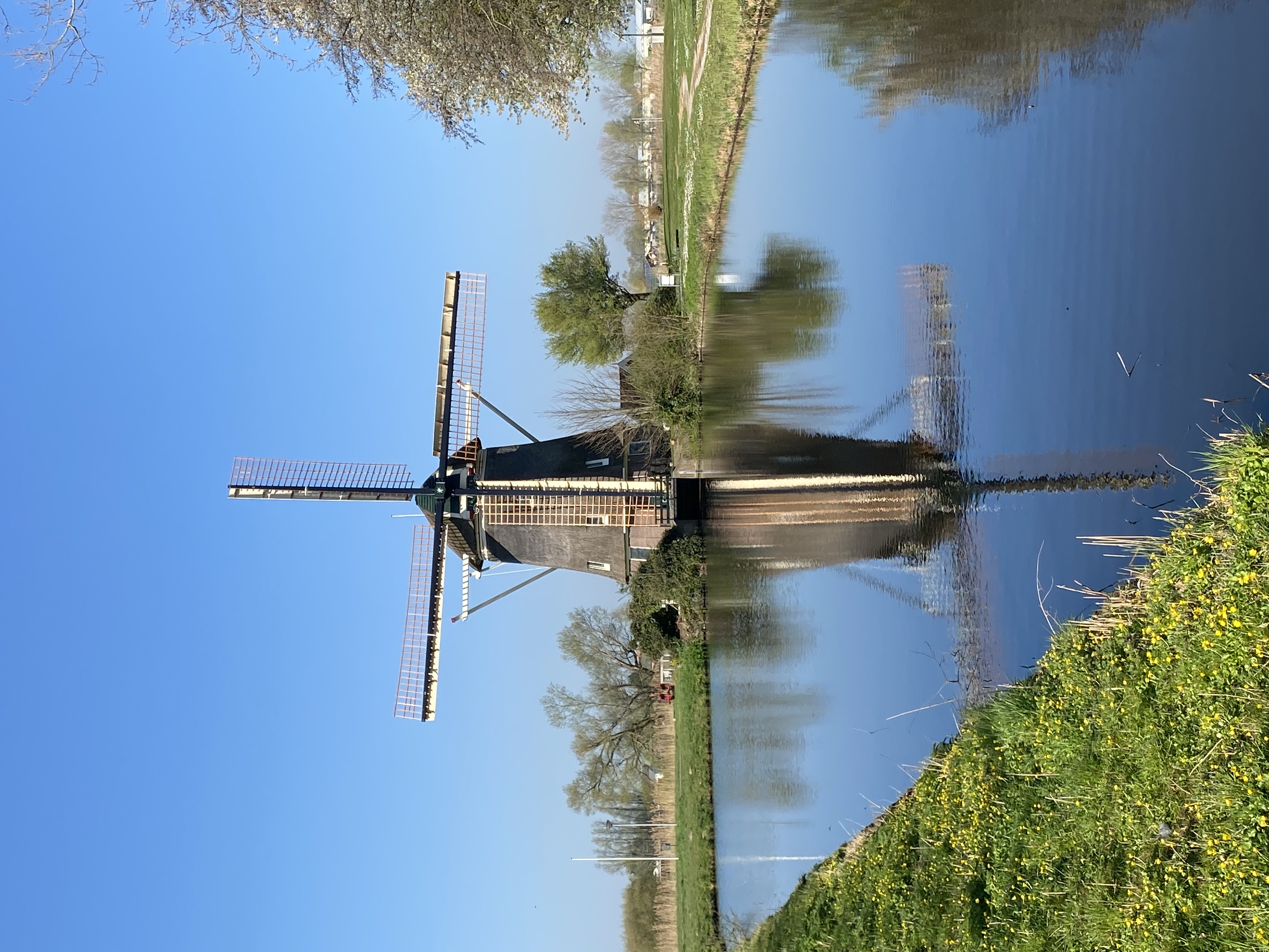 Amsterdam windmill
