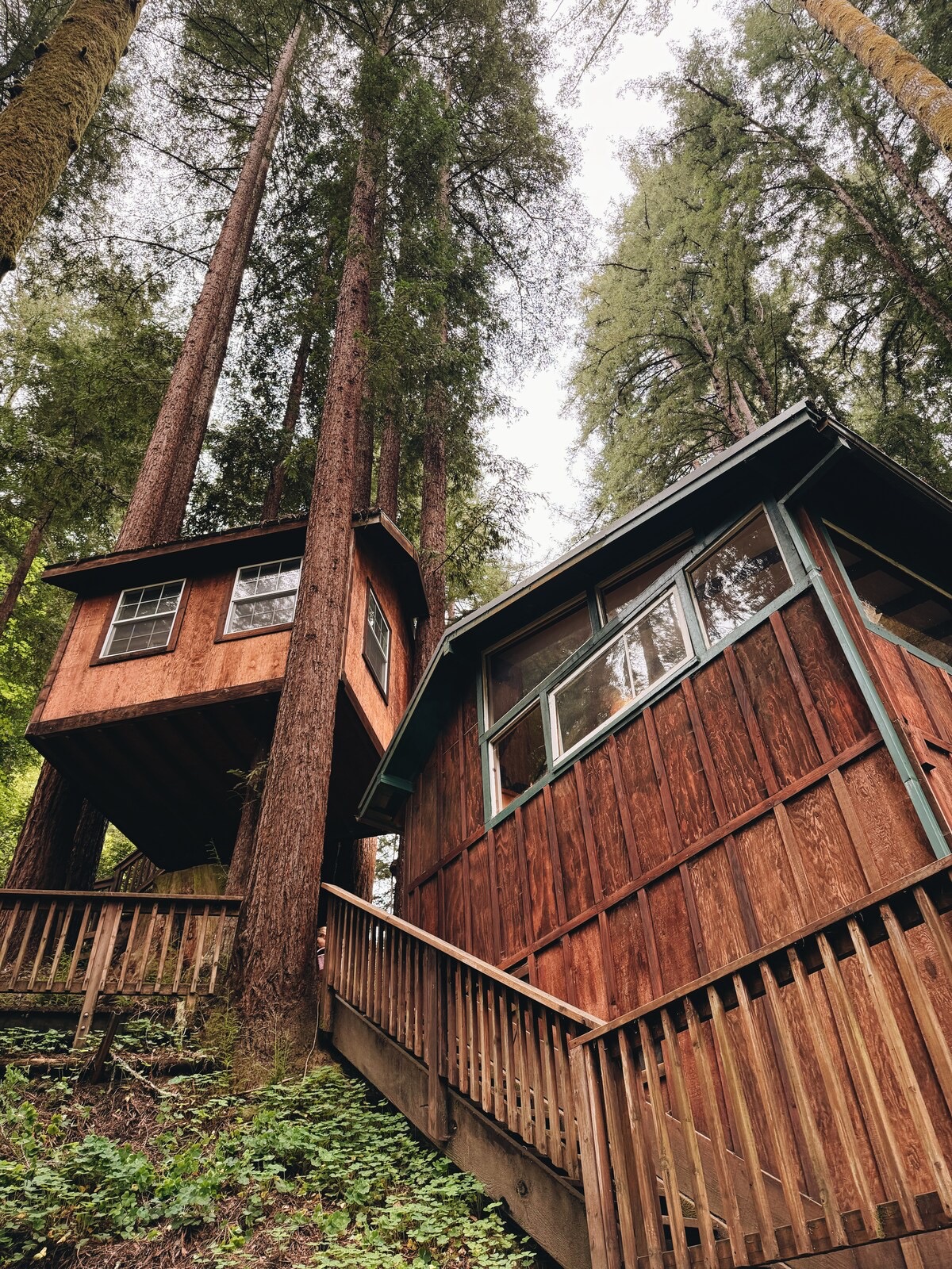 Gorgeous Cabin in Mount Hermon - Cabins for Rent in Felton
