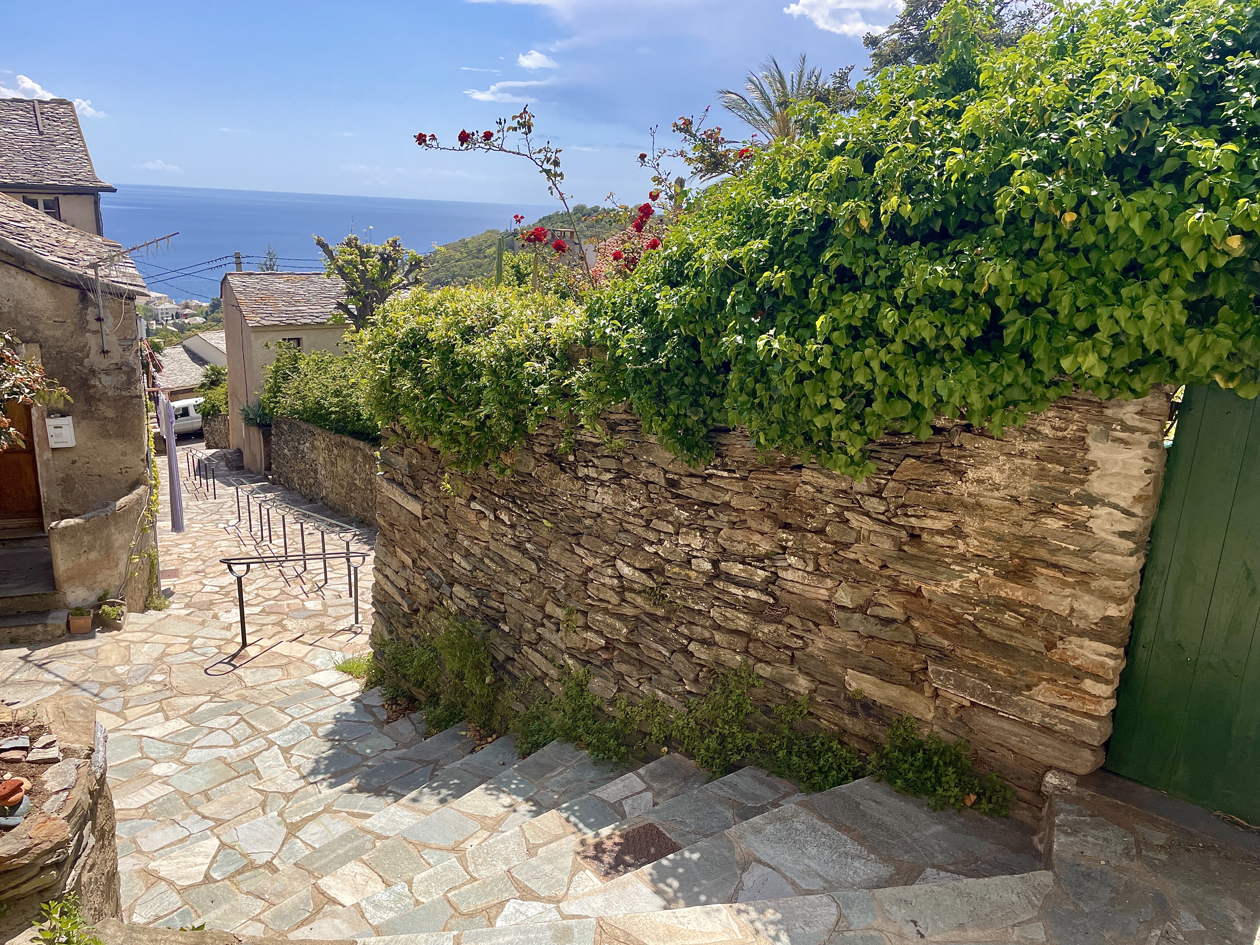 La casa du Lion Cap Corse 800m from the  sea