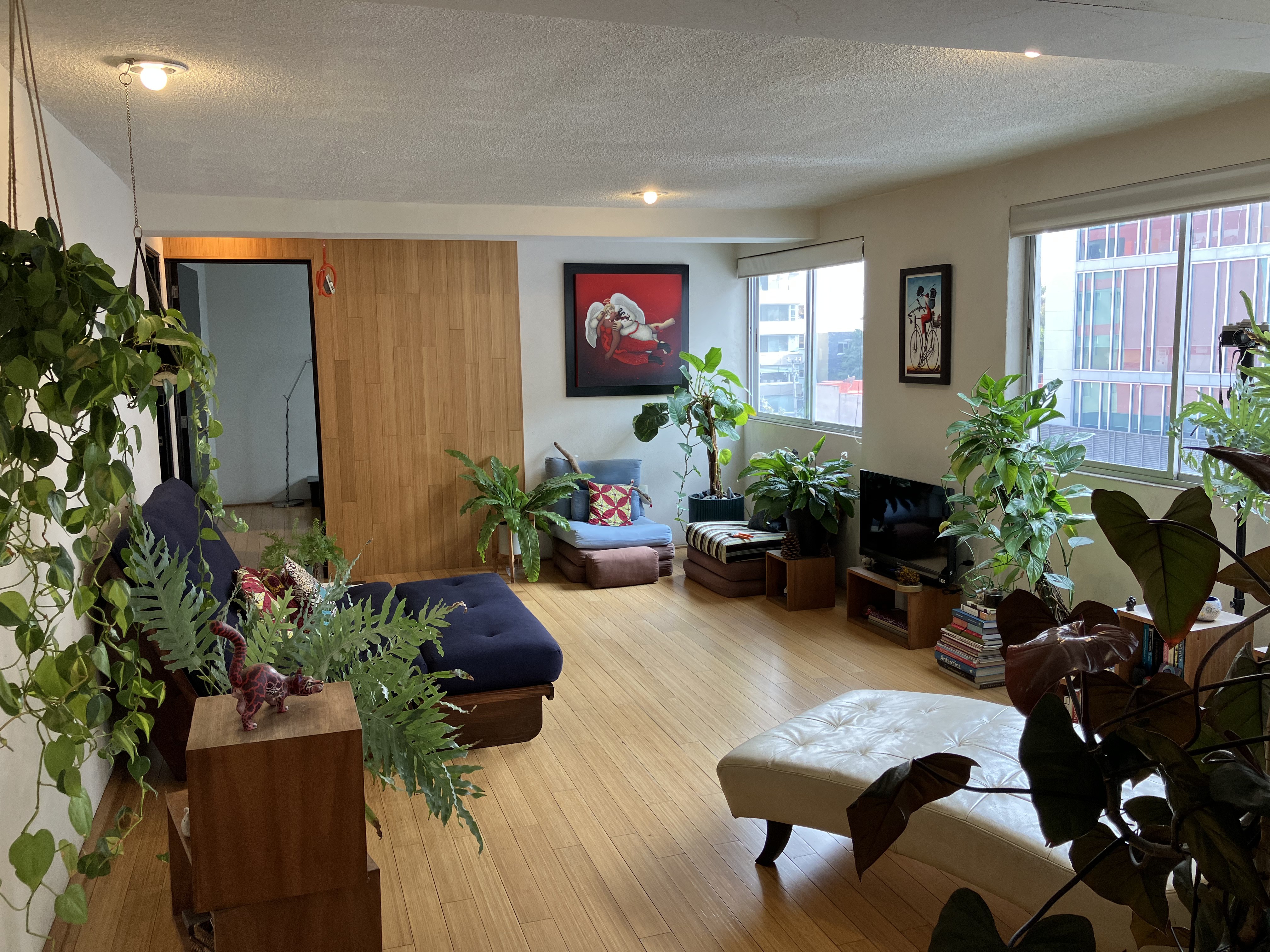 Cozy Apartment near Coyoacan’s heart - Acacias in Benito Juárez, Mexico City
