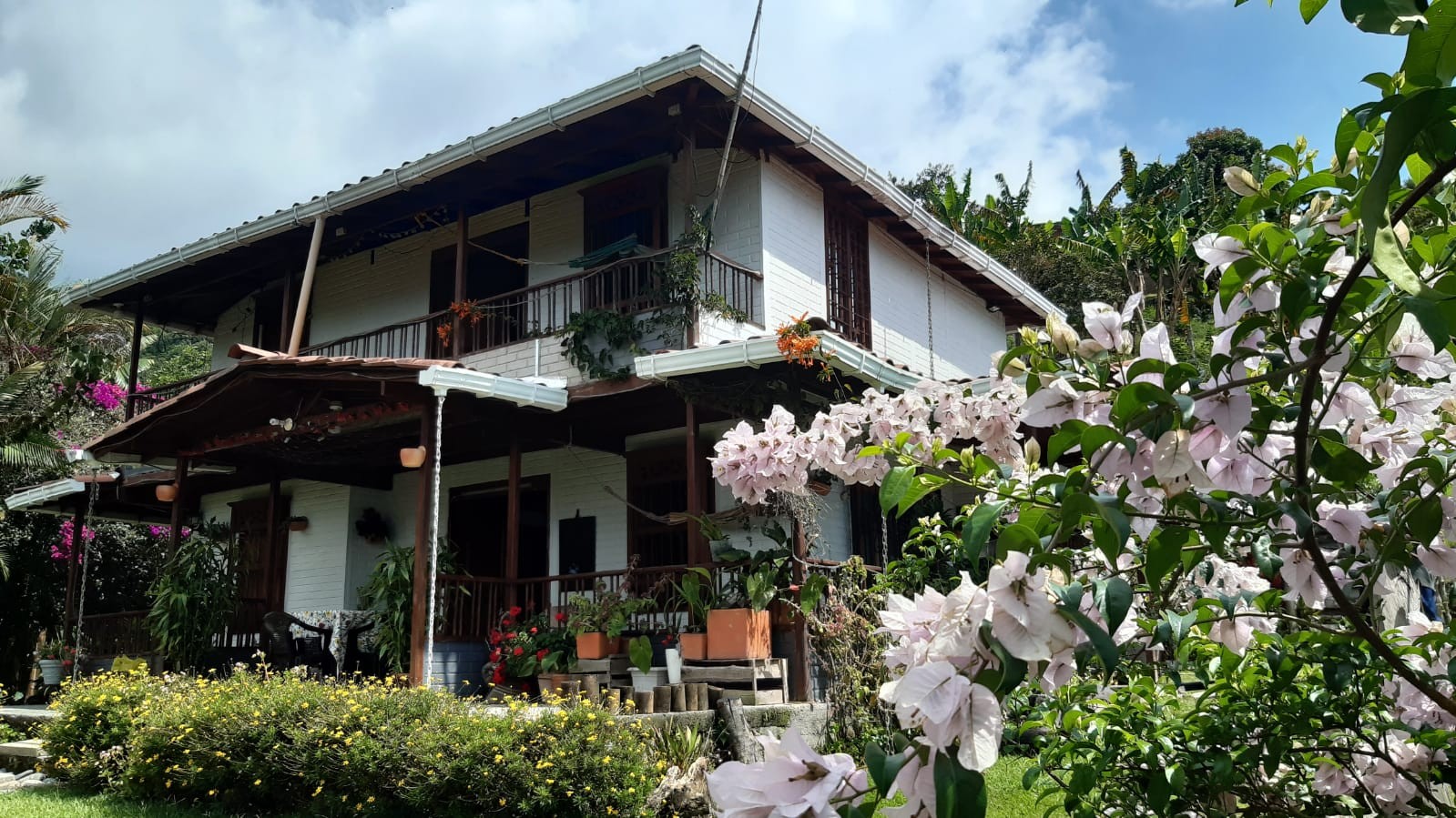 Finca Atrapasueños-Fredonia. 
Healthy country air.