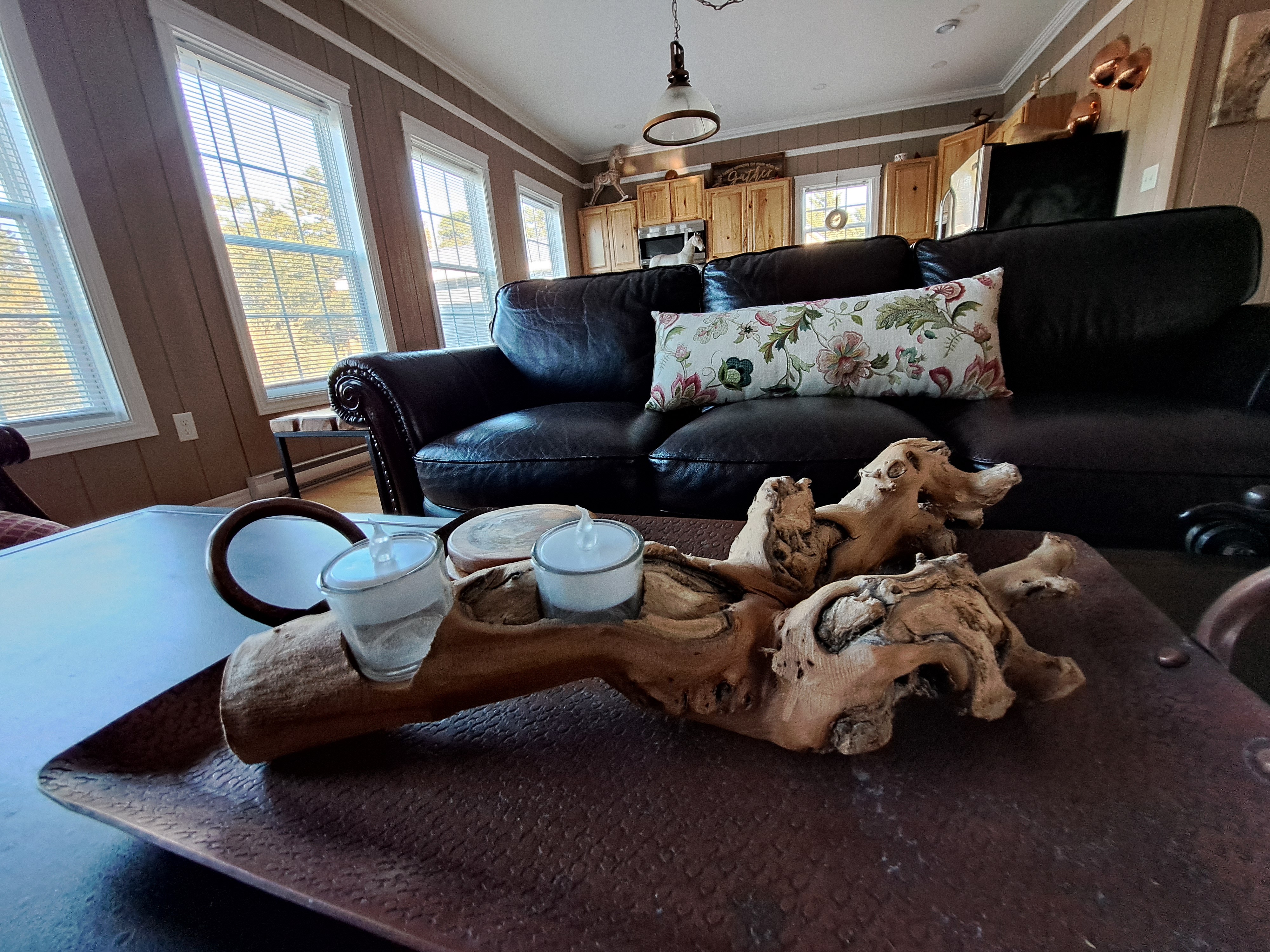 Robin - Eagles Eye View Cottages in Westfield, New Brunswick