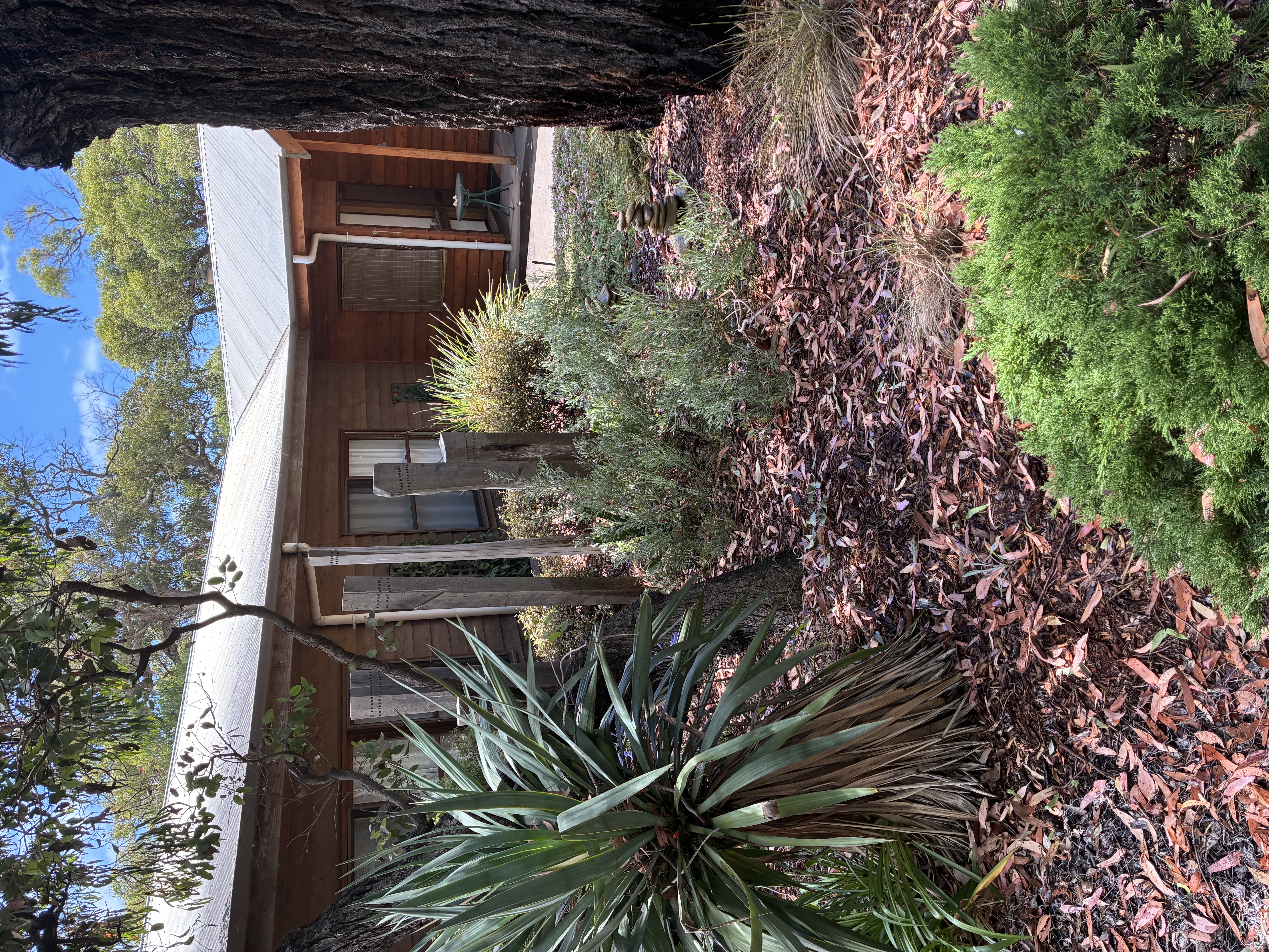 The Shack in Surf Coast, Barwon South West Vic
