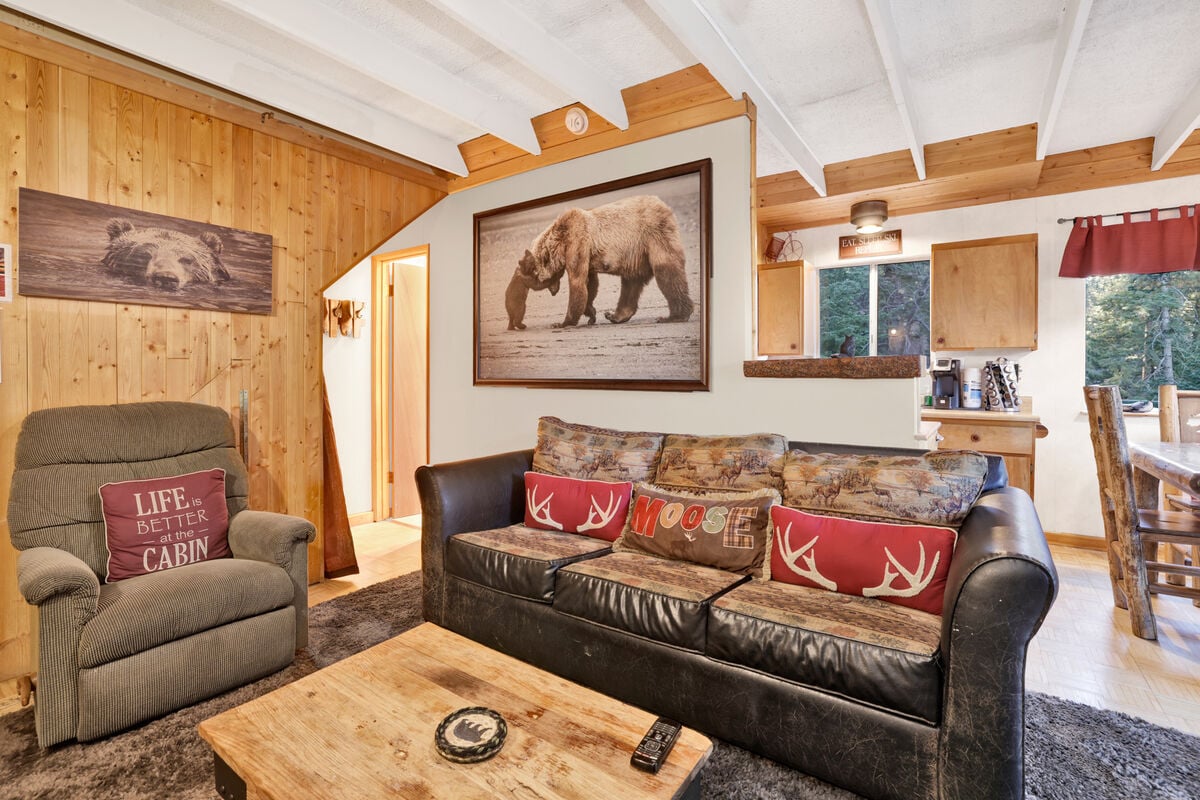 Falls Bear Cabin (License#: VRR-2023-2899)