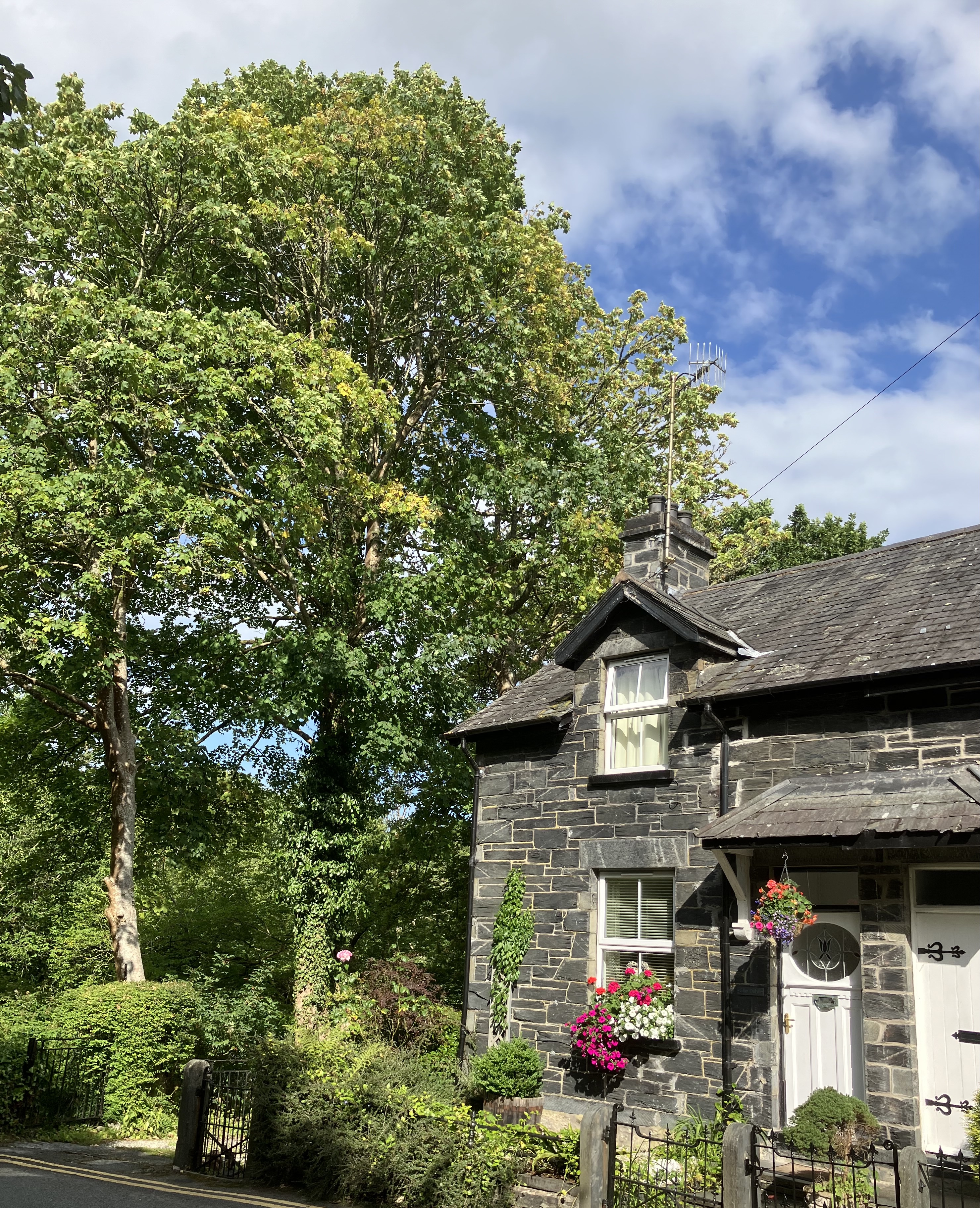 Glan Dulyn Riverside Holiday Cottage Betws Y Coed