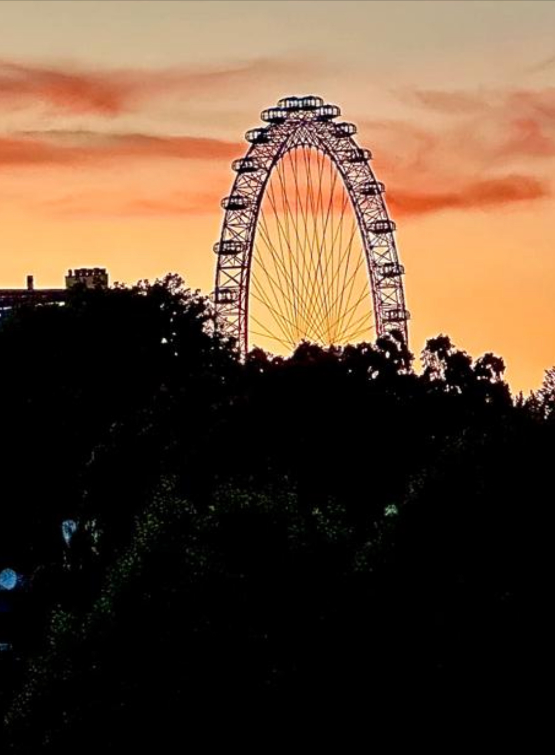 London Eye View