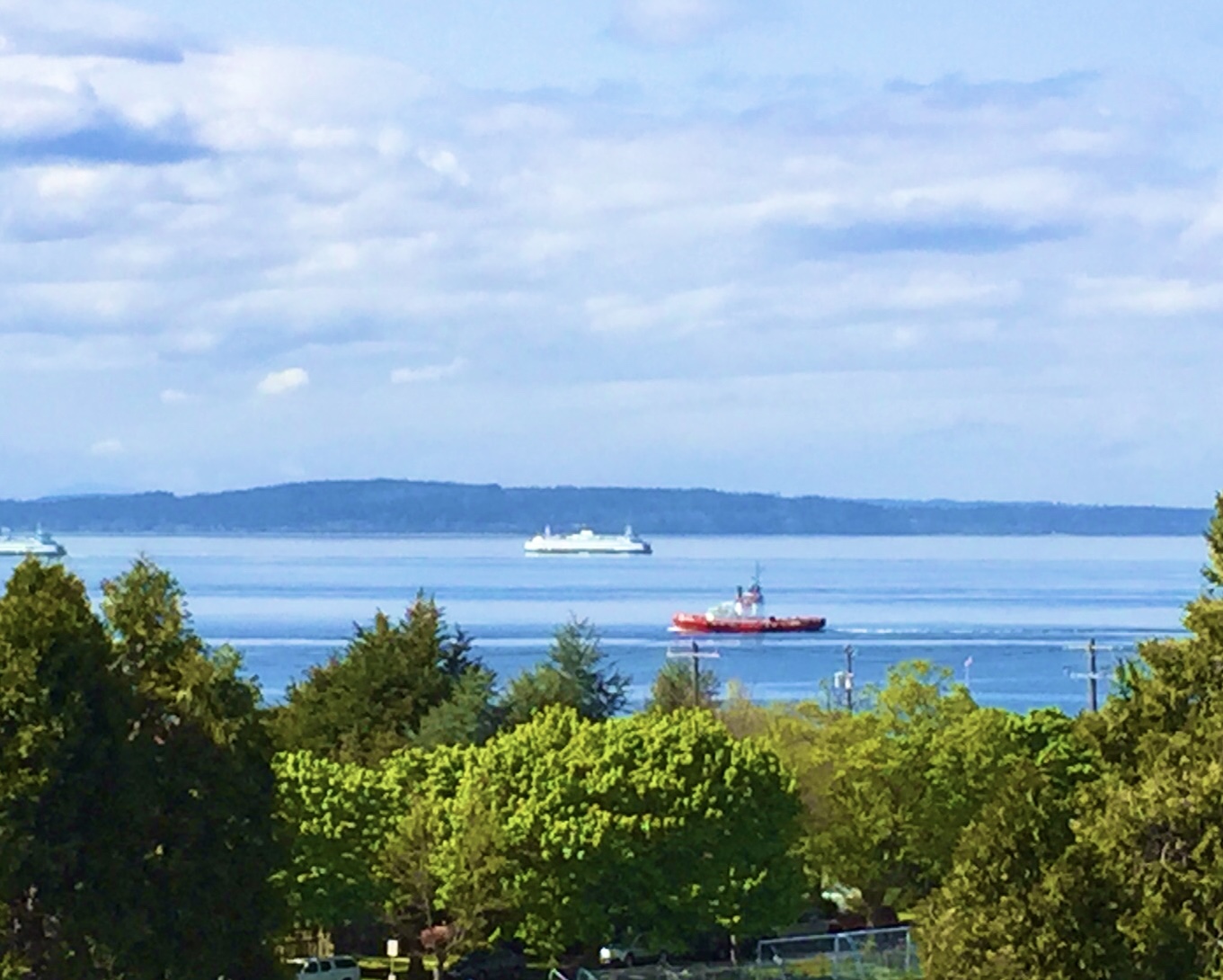 Luxury Water View, Deck- 15 Mins to Lumen Field