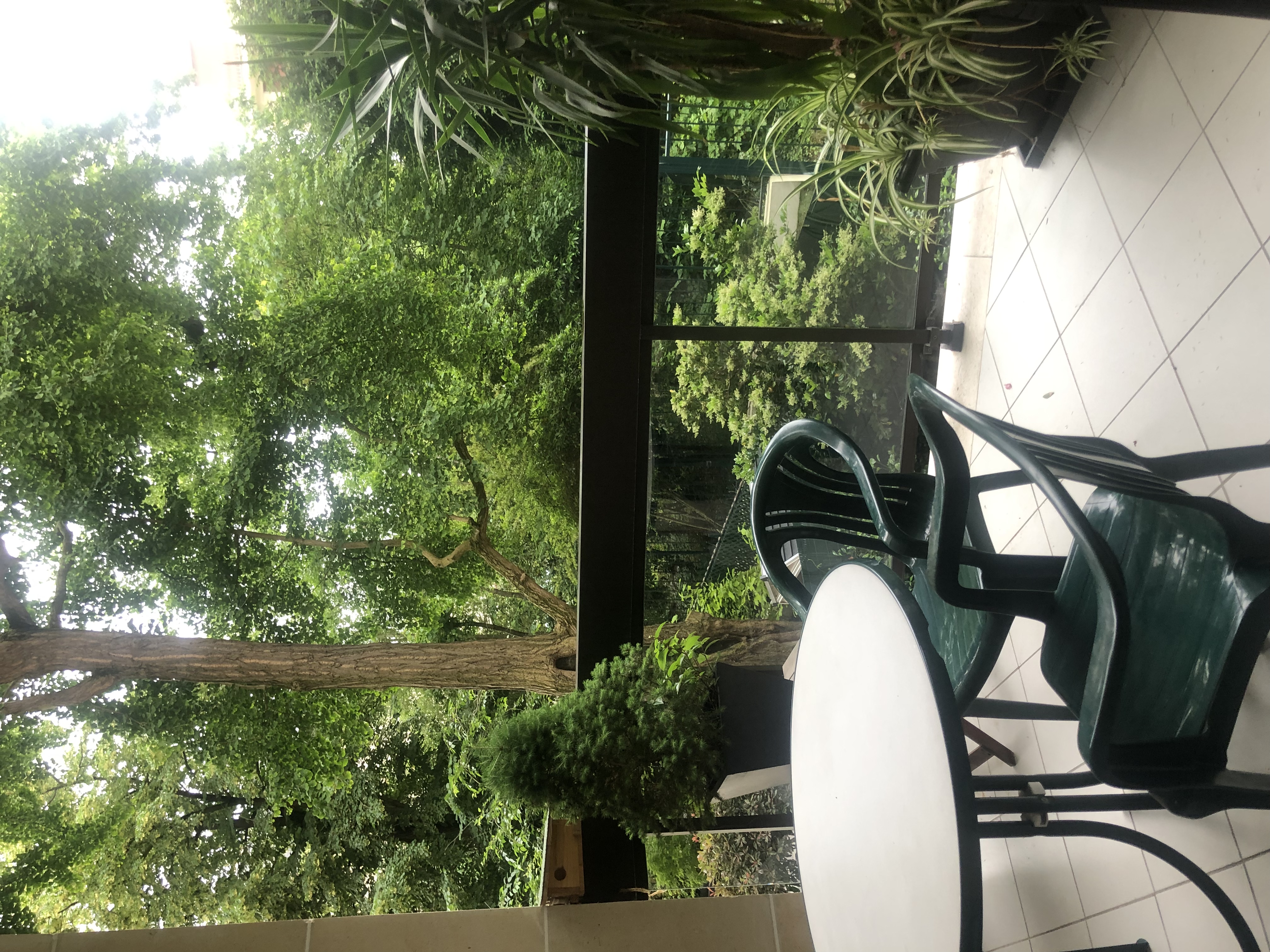 Calm place to enjoy Paris