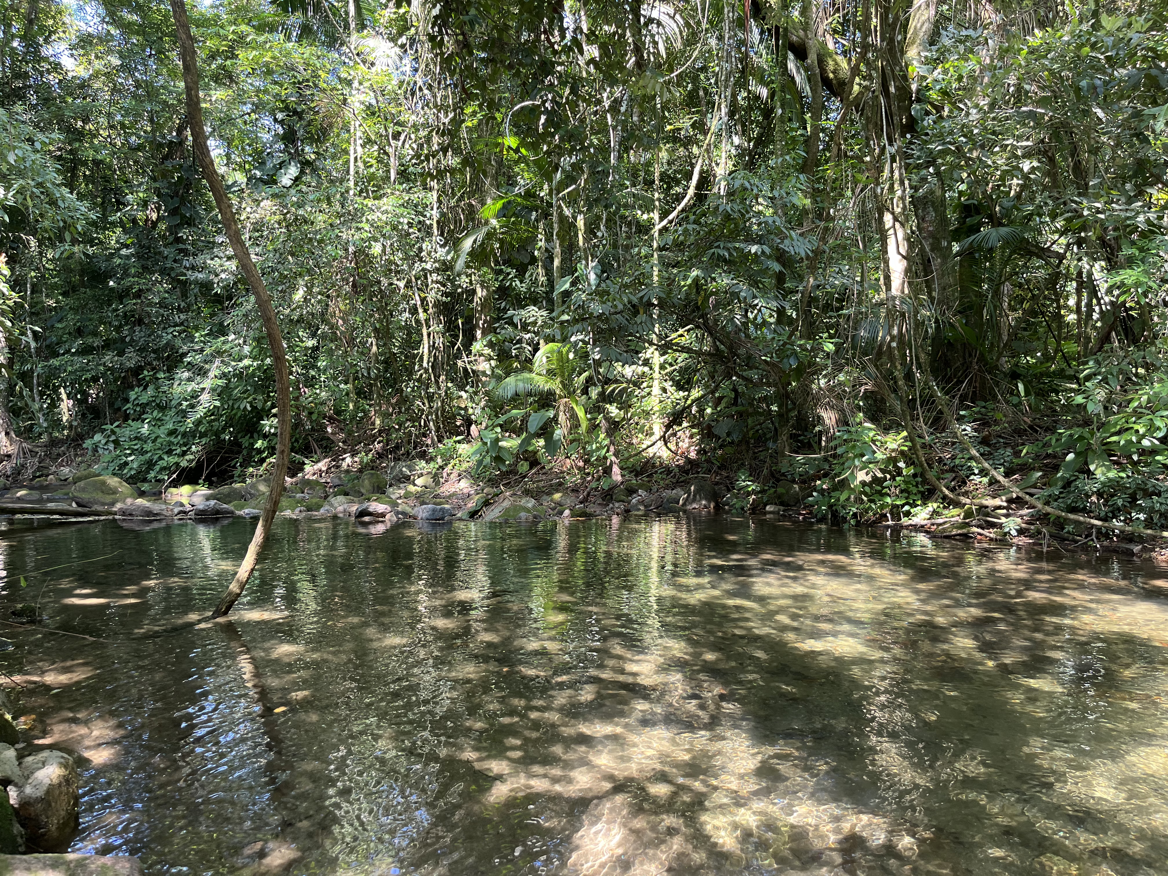 River House - Nature, Waterfall and Tranquility