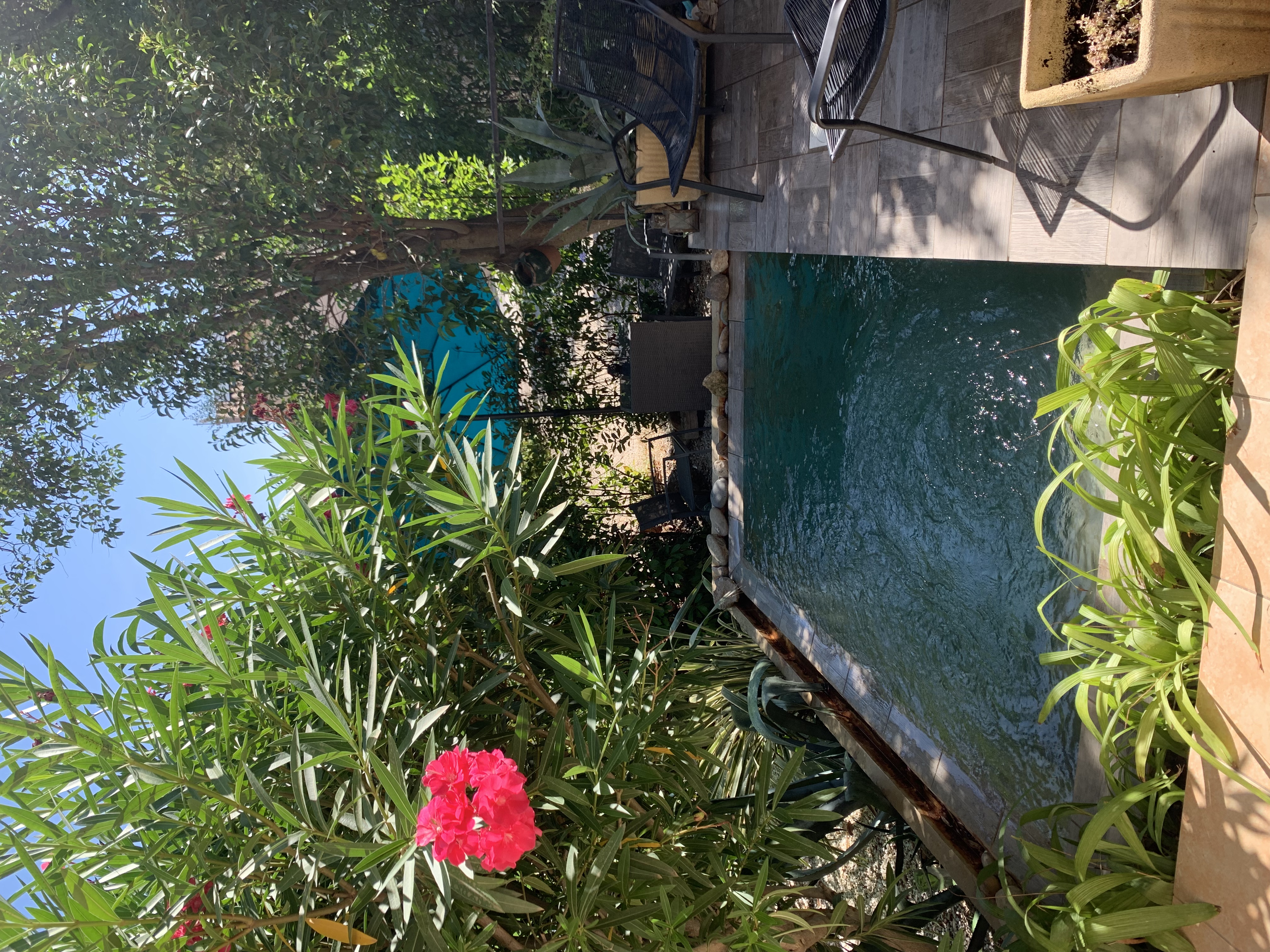 The Little House