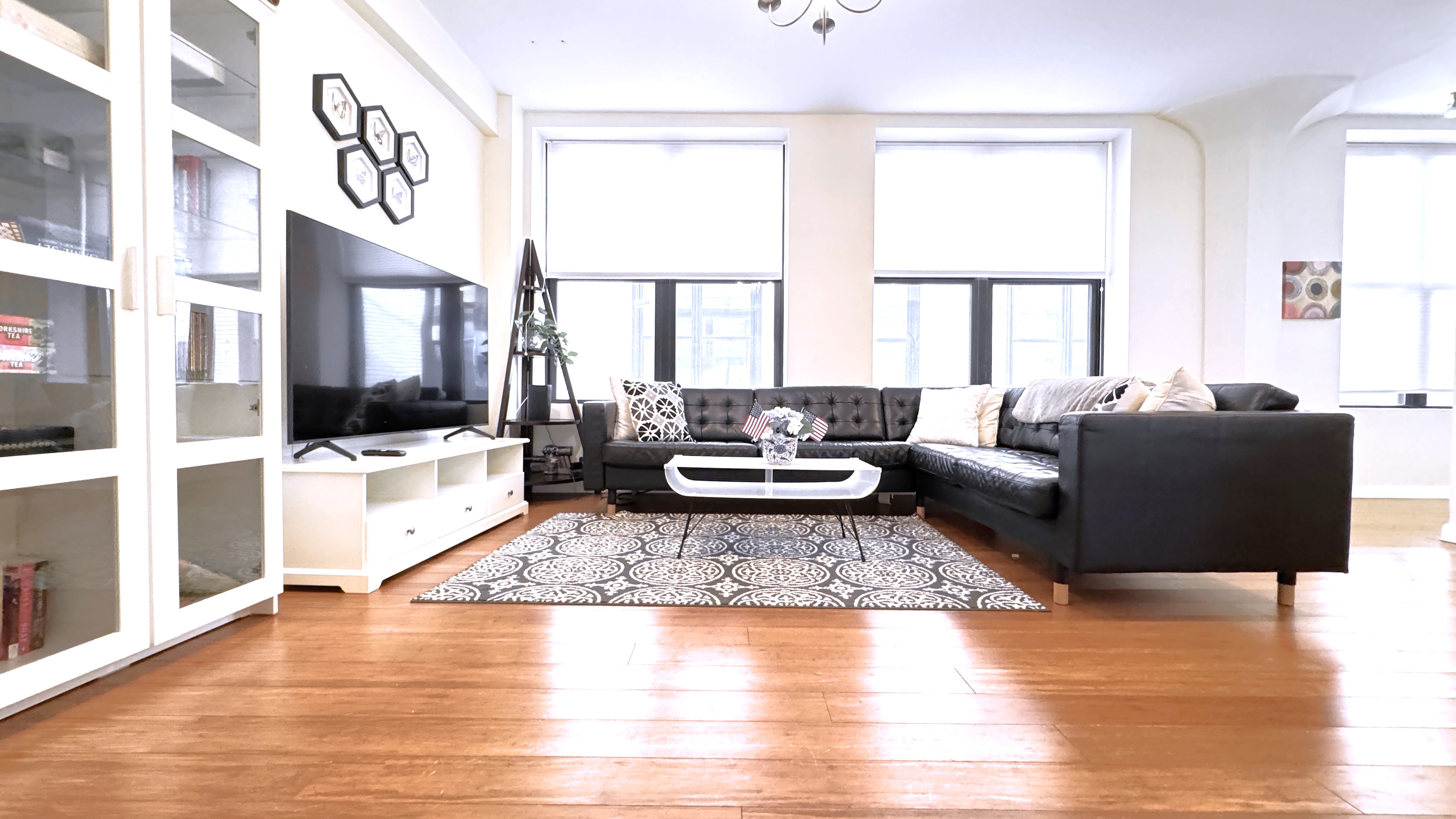 Spacious Sunlit 3BR in Center of Downtown Boston