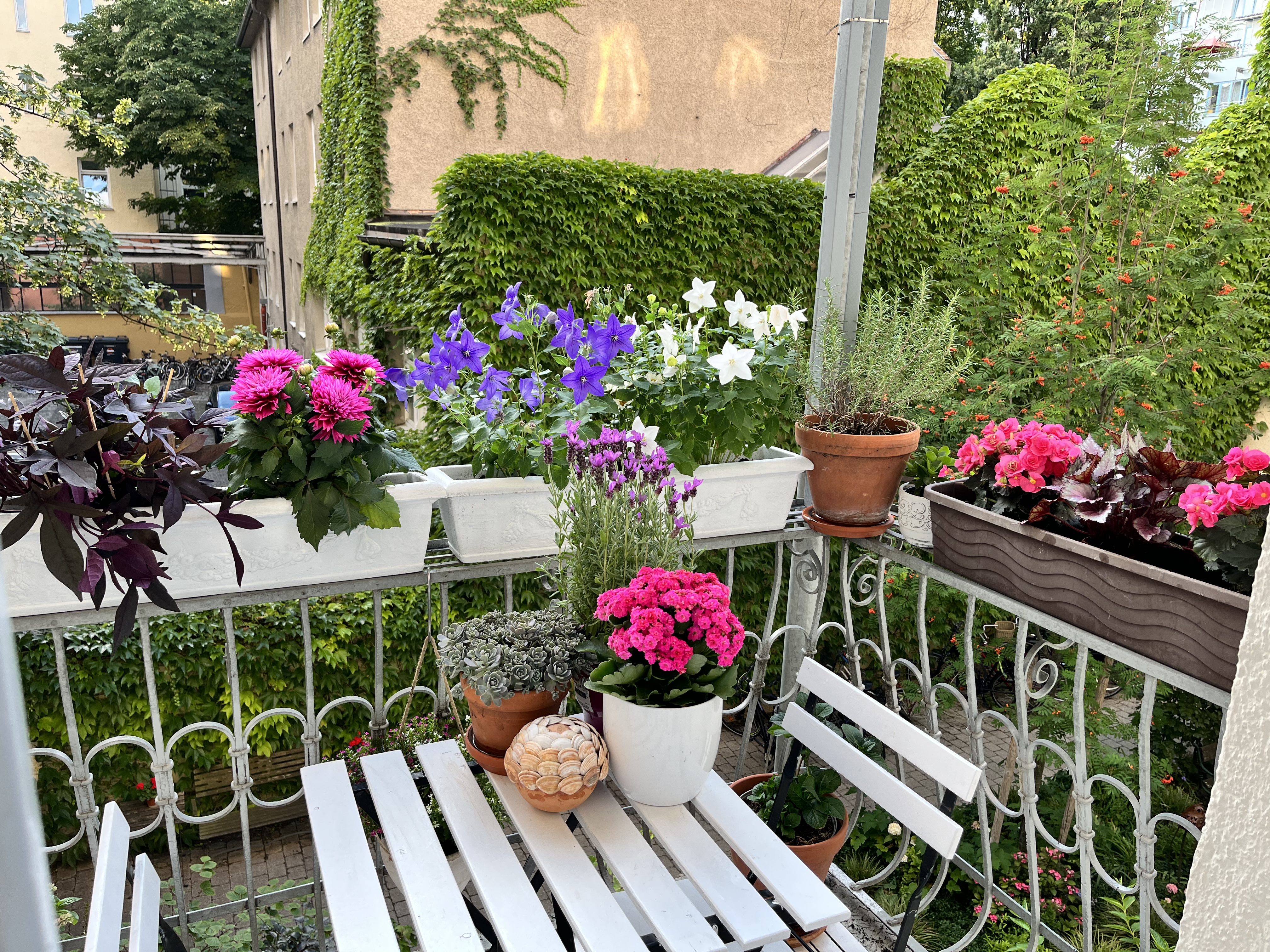 Beautiful flat in the city center in Altstadt-Lehel, Munich