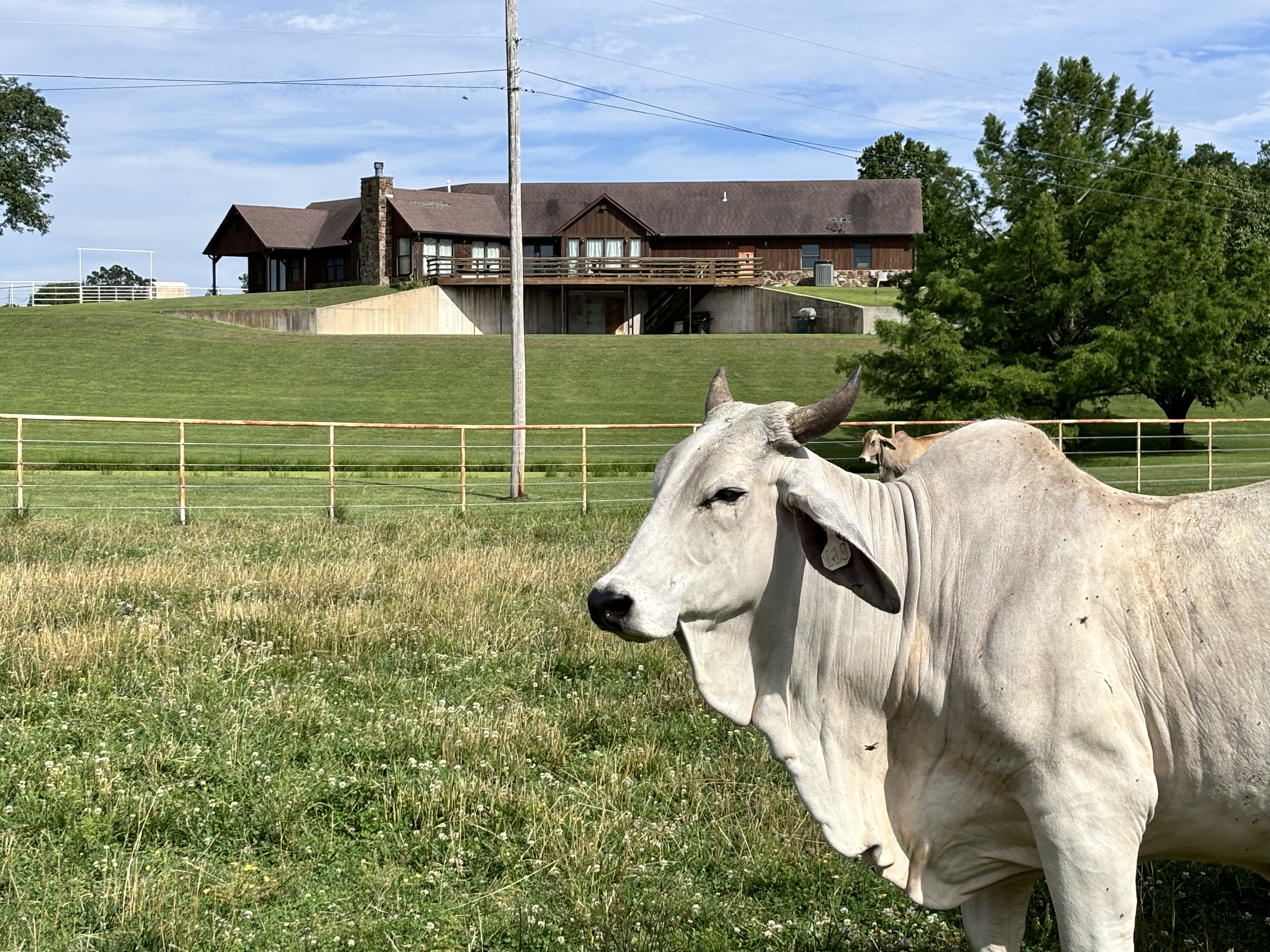 Beautiful Ranch House 15 minutes to Illinois River