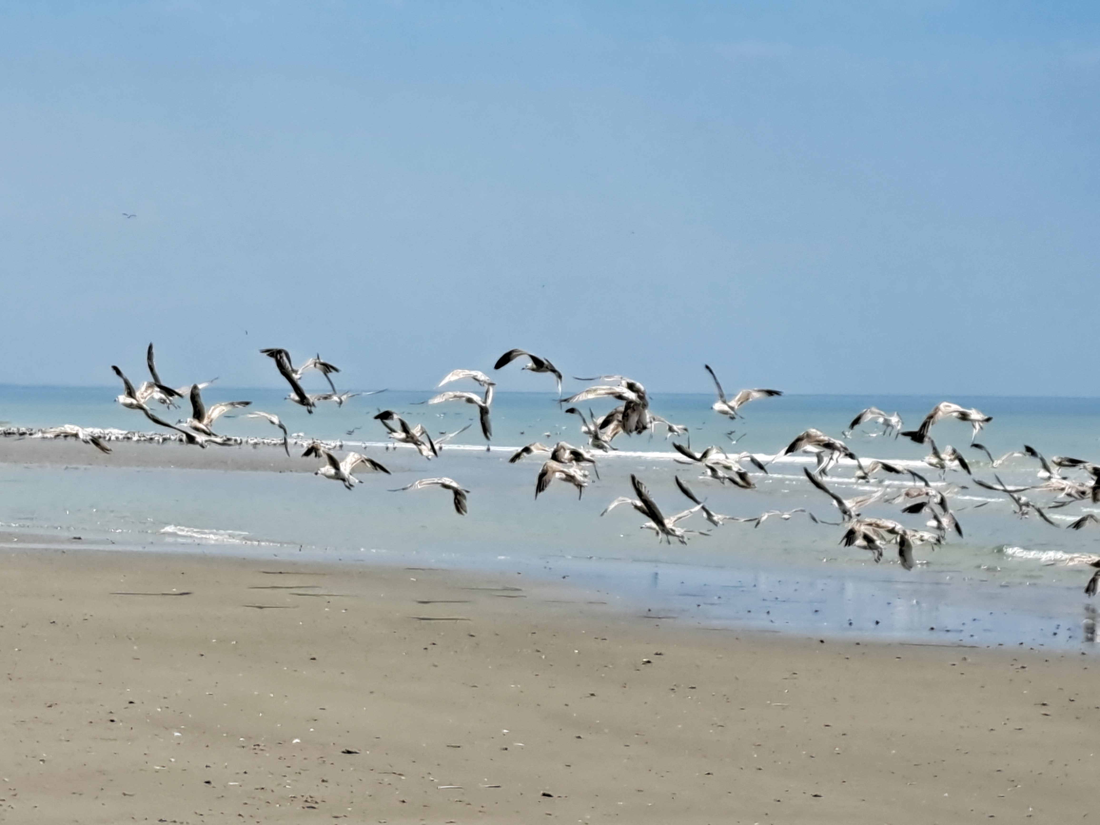 Quend-plage: nice level 900 m from the beach