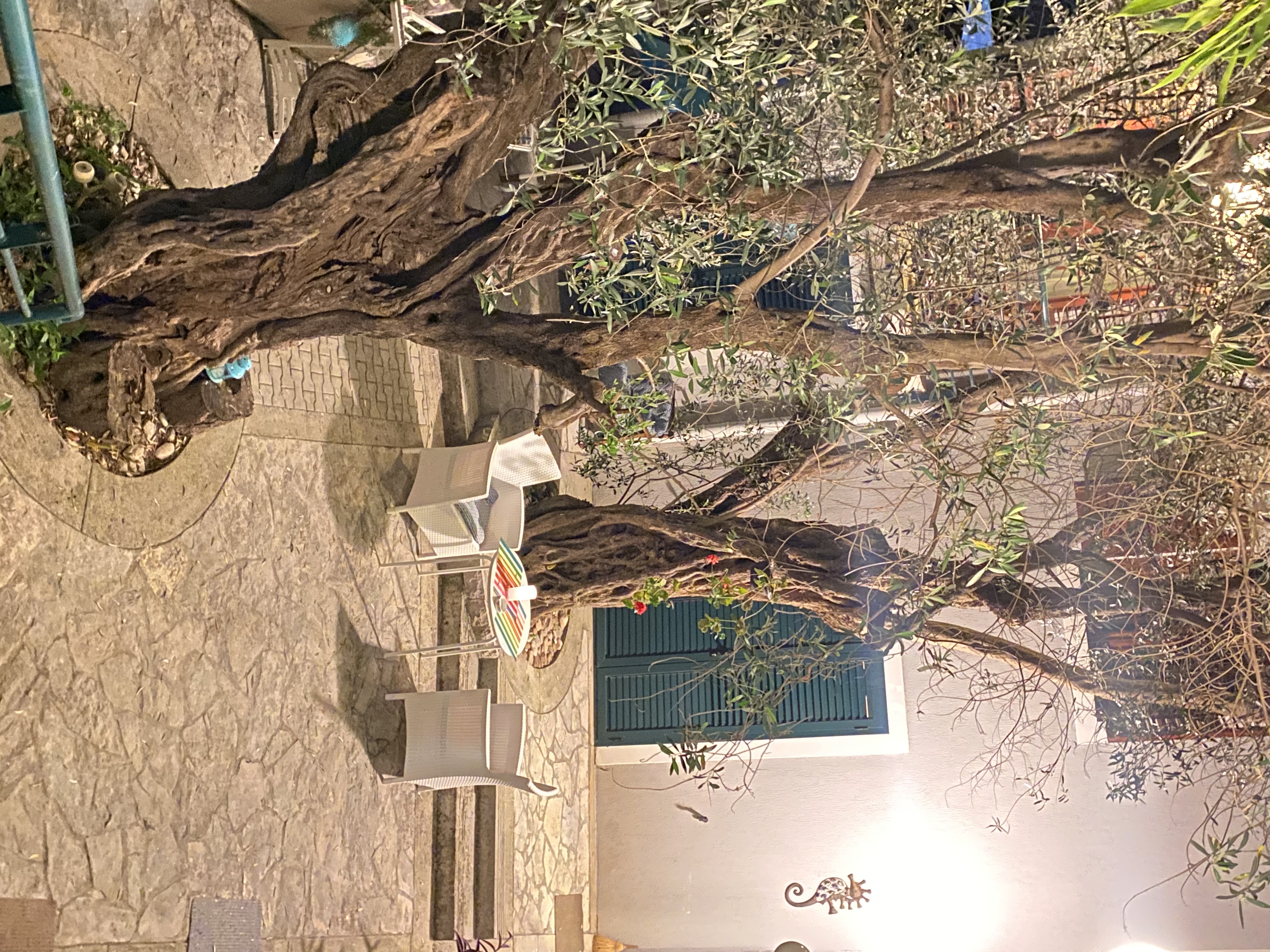 Peaceful Studio with courtyard | Great for Couples