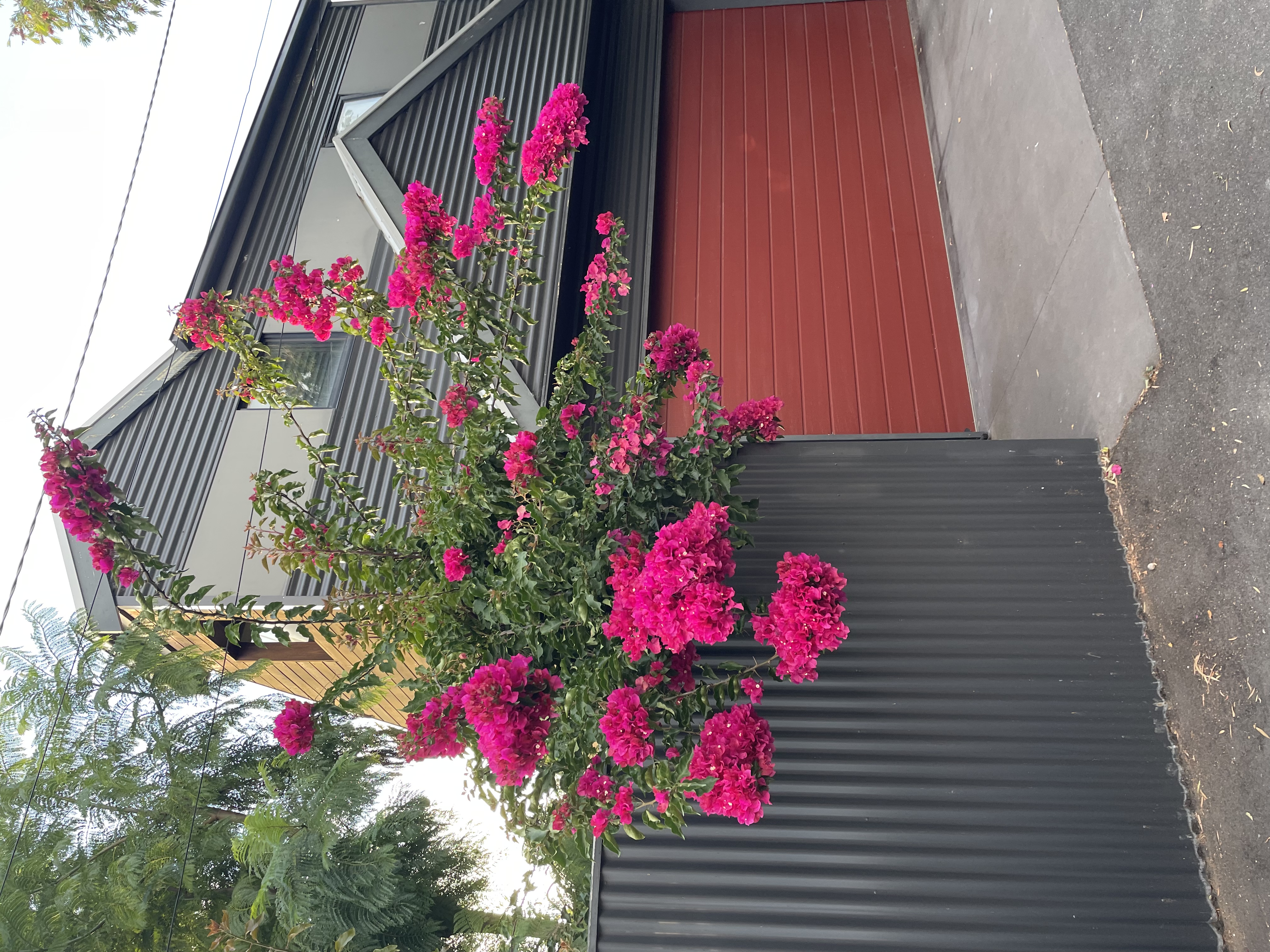 Geelong's Best Location-Studio Apartment with wifi in Greater Geelong, Barwon South West Vic