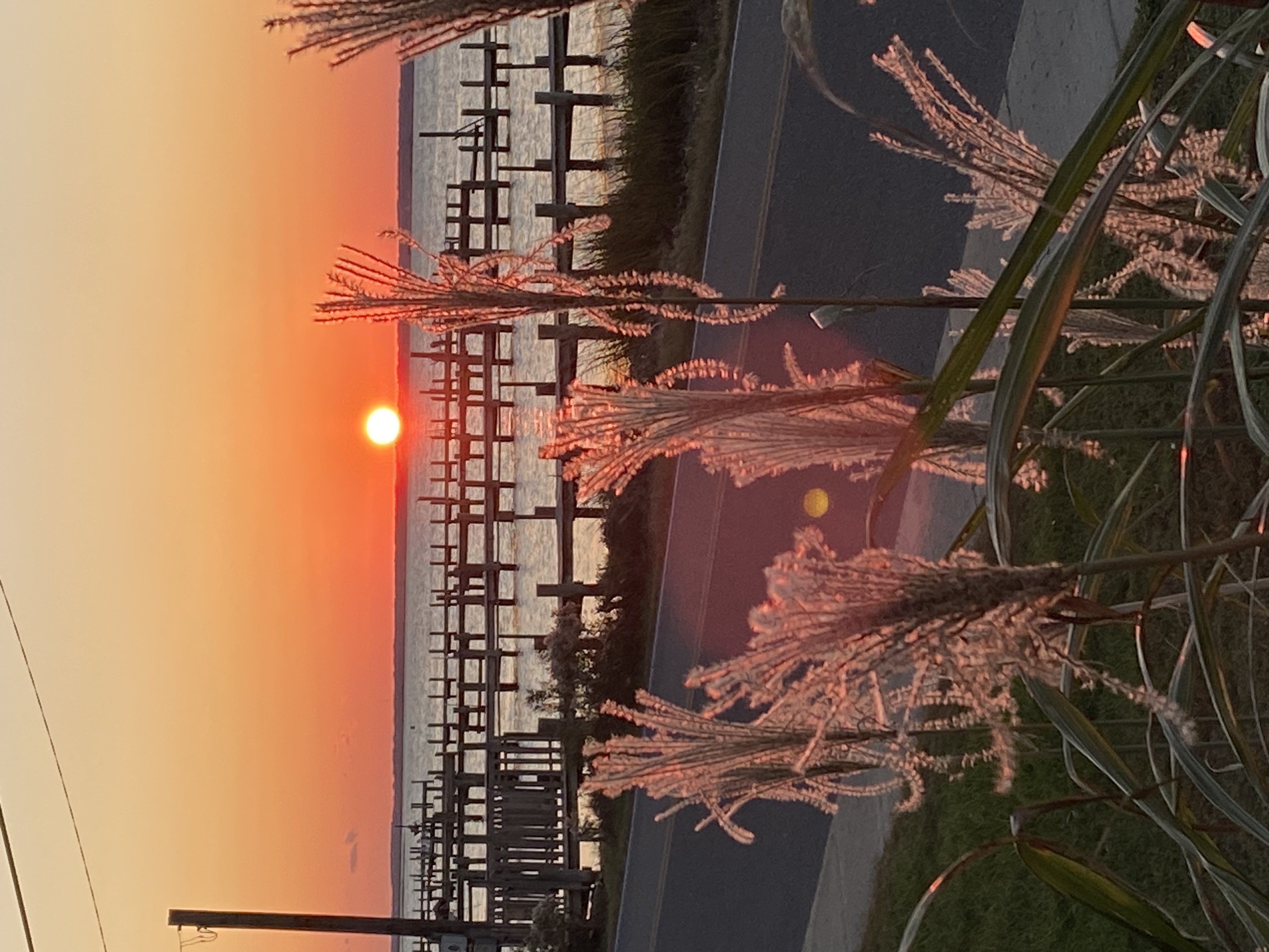 Waterfront-Views from all rooms-CI bay sunset