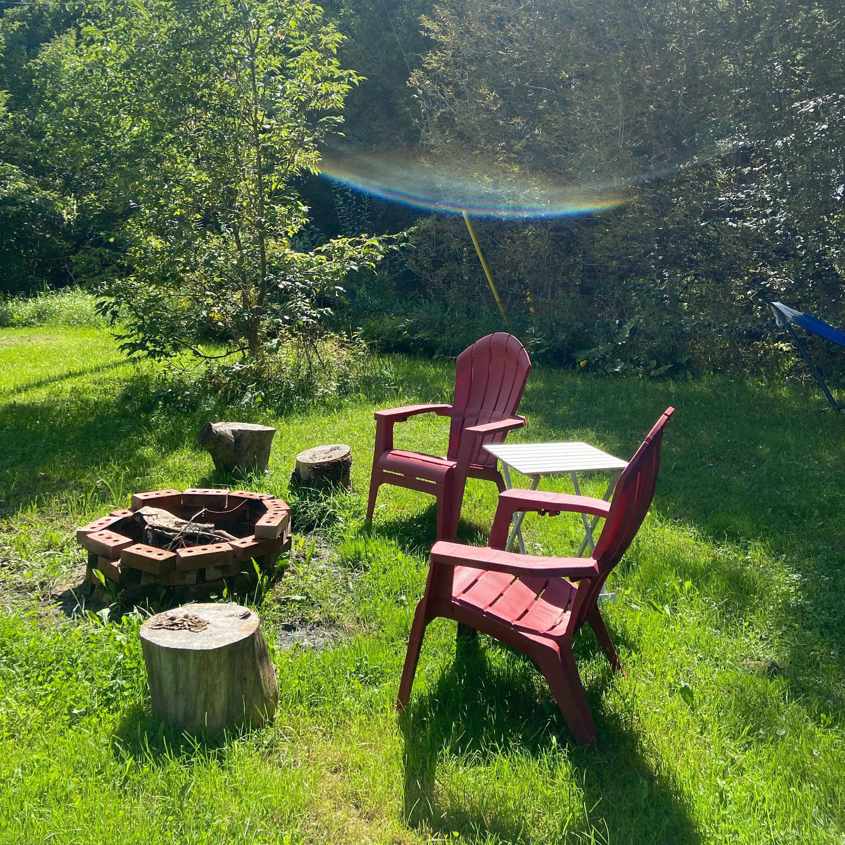 Cosy getaway in the woods