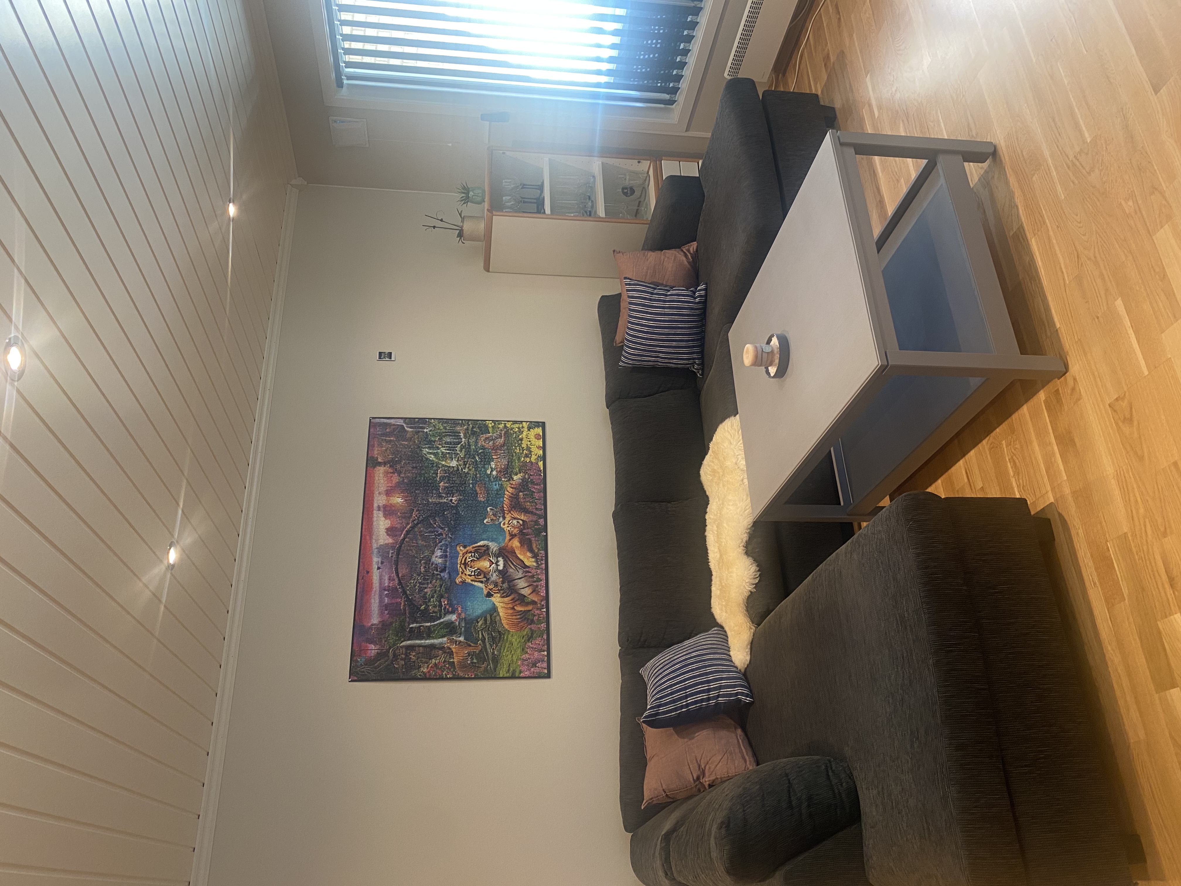Homey apartment near Ski