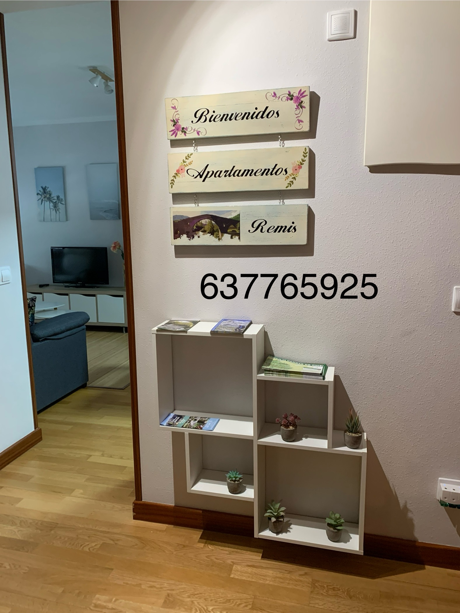 Remis apartment