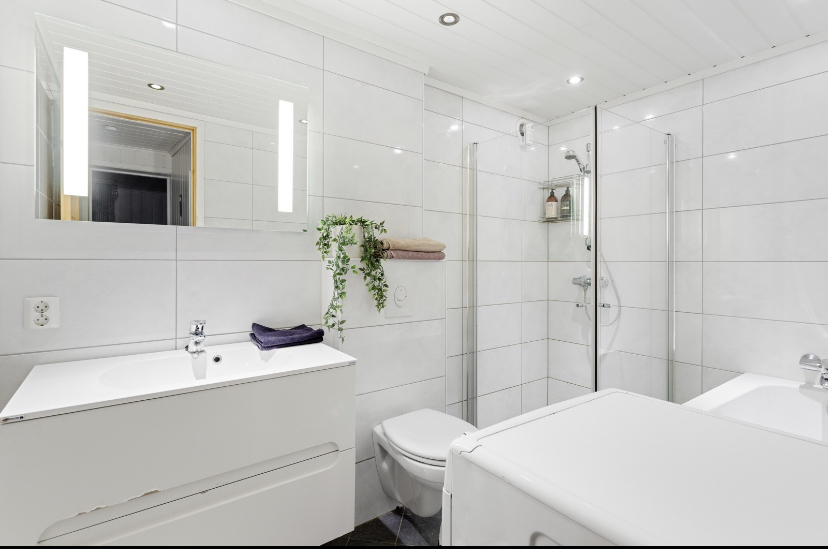 large , bright cozy apartment apartment in the city center