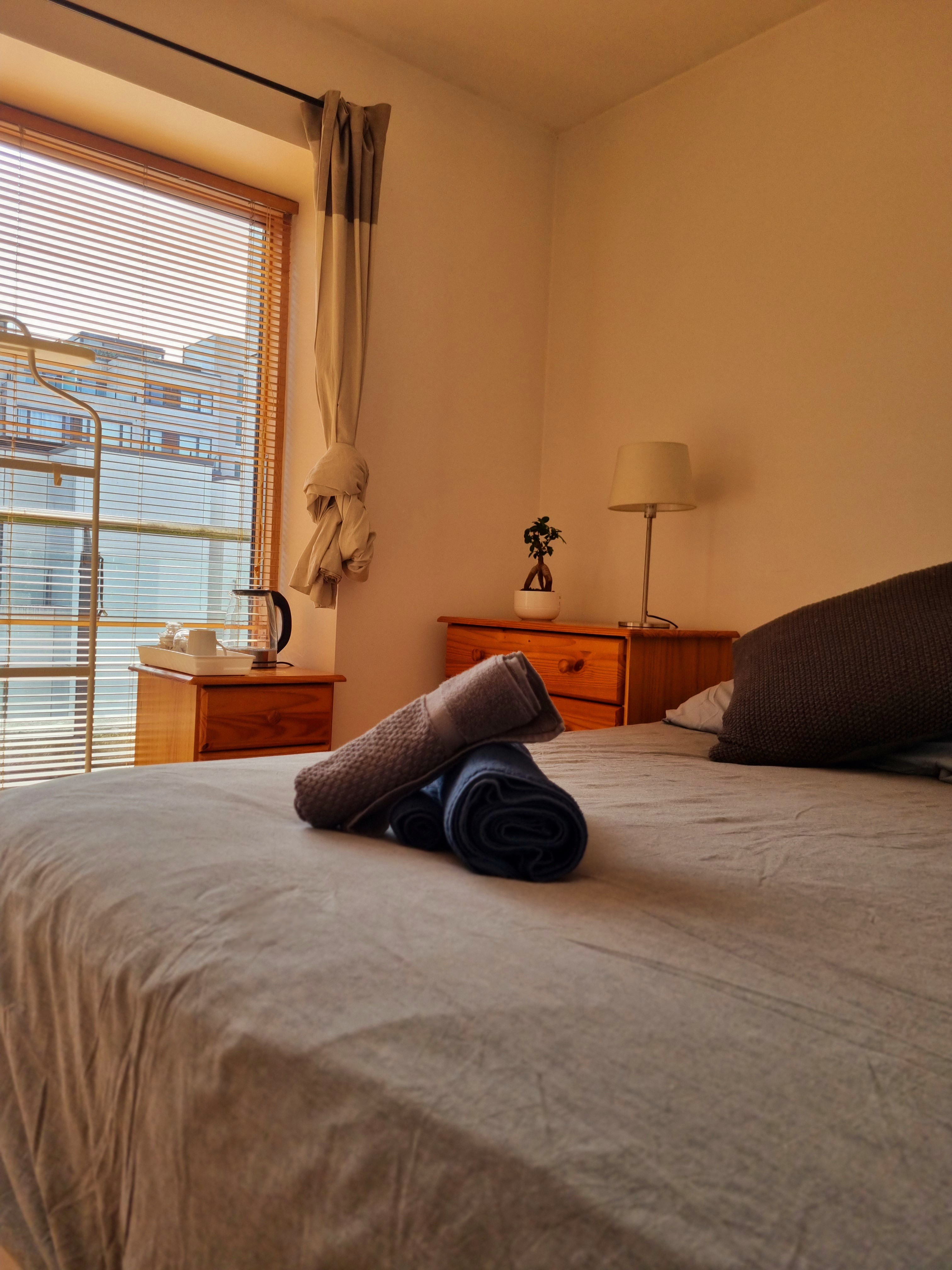 Docklands, Room in shared Flat with Private Bath in Dublin City, Dublin