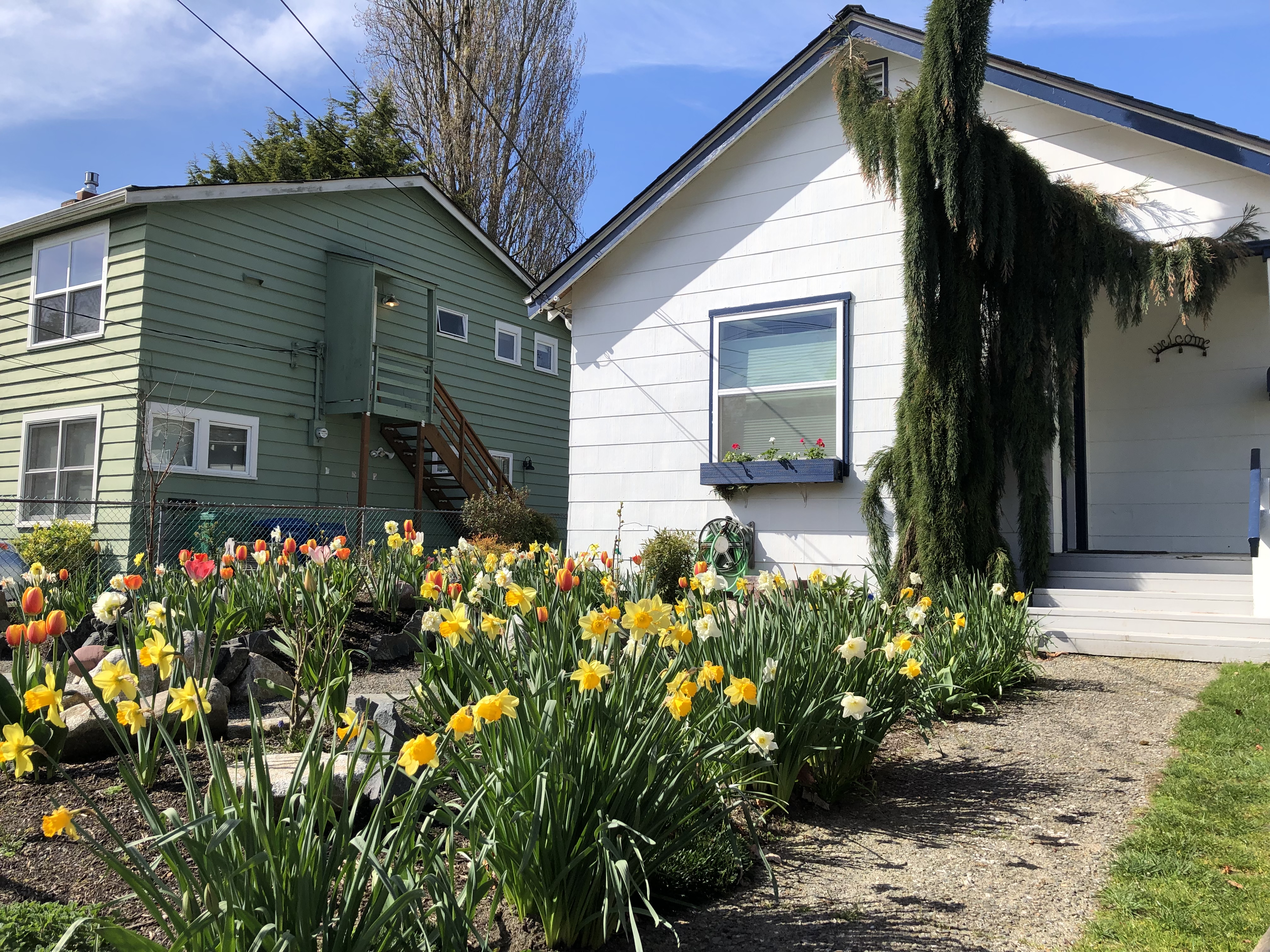 Quaint Ballard Bungalow