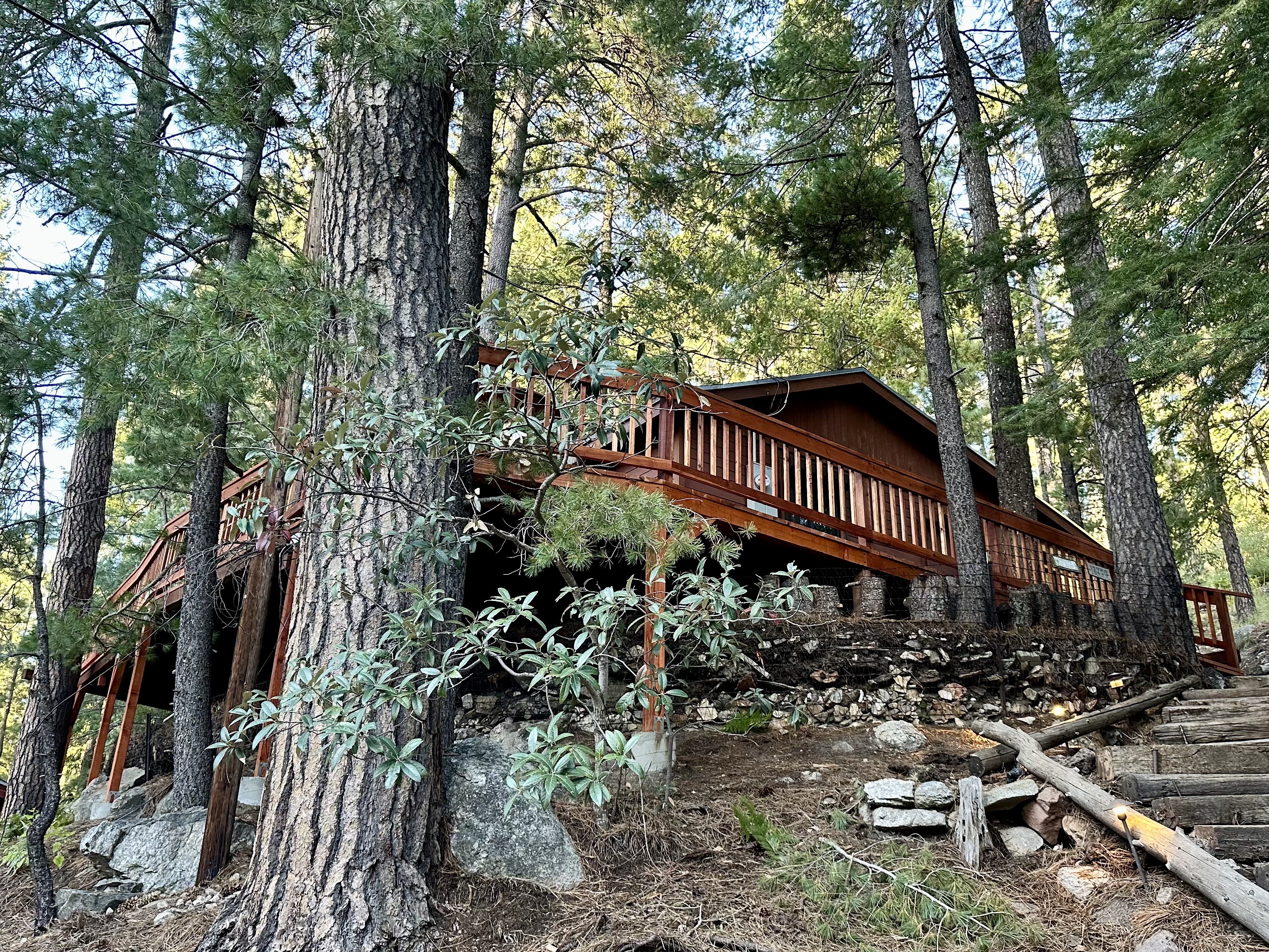 Cozy Cabin in the Pines - Cabins for Rent in Mount Lemmon, Arizona