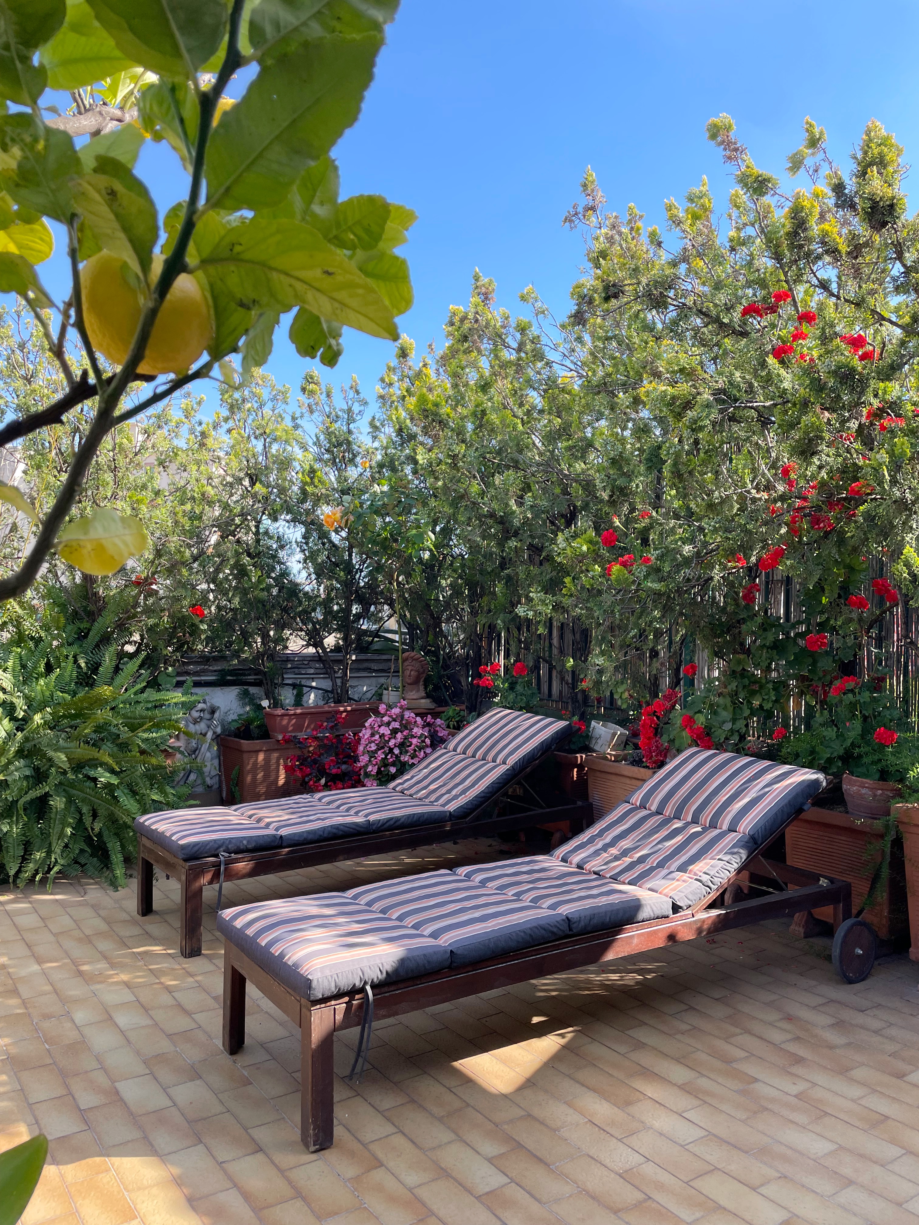 Historic central penthouse with panoramic rooftop! in Avvocata, Naples