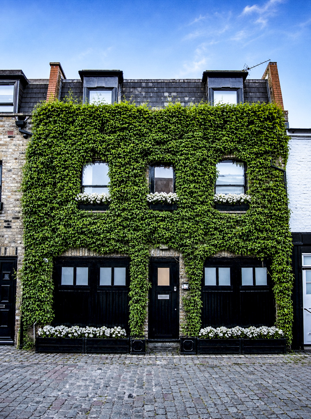 Quiet Mews House