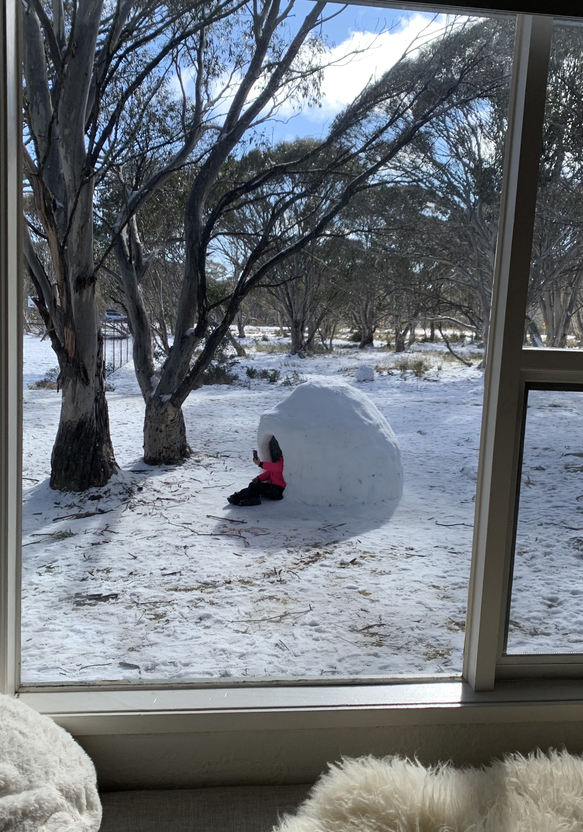 Snowgums 2 Apt. Great position. Great views!!