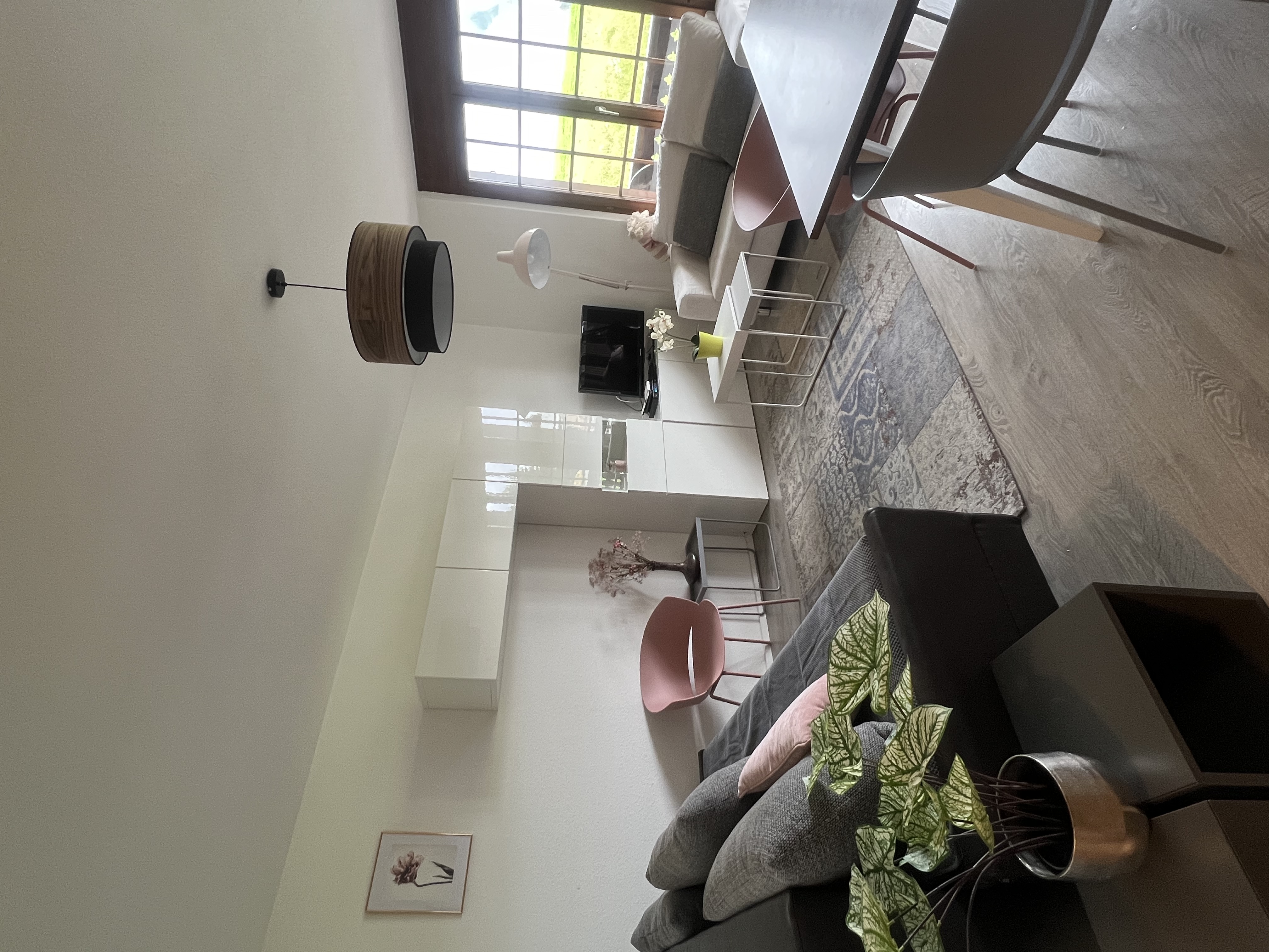 Cozy and convenient apartment in Leysin