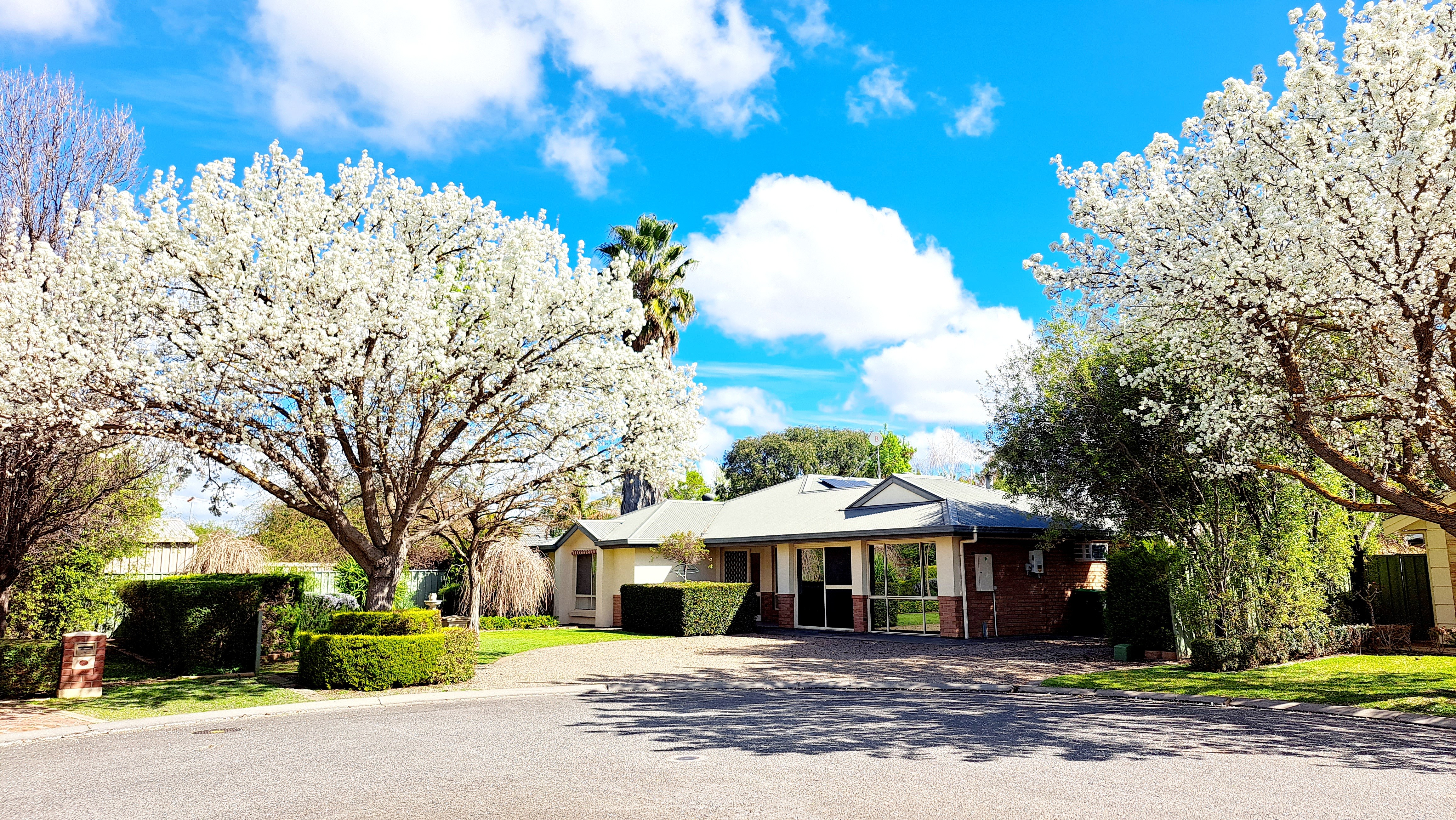 Welcome to Schnippen Inn. in Tanunda, Barossa Valley