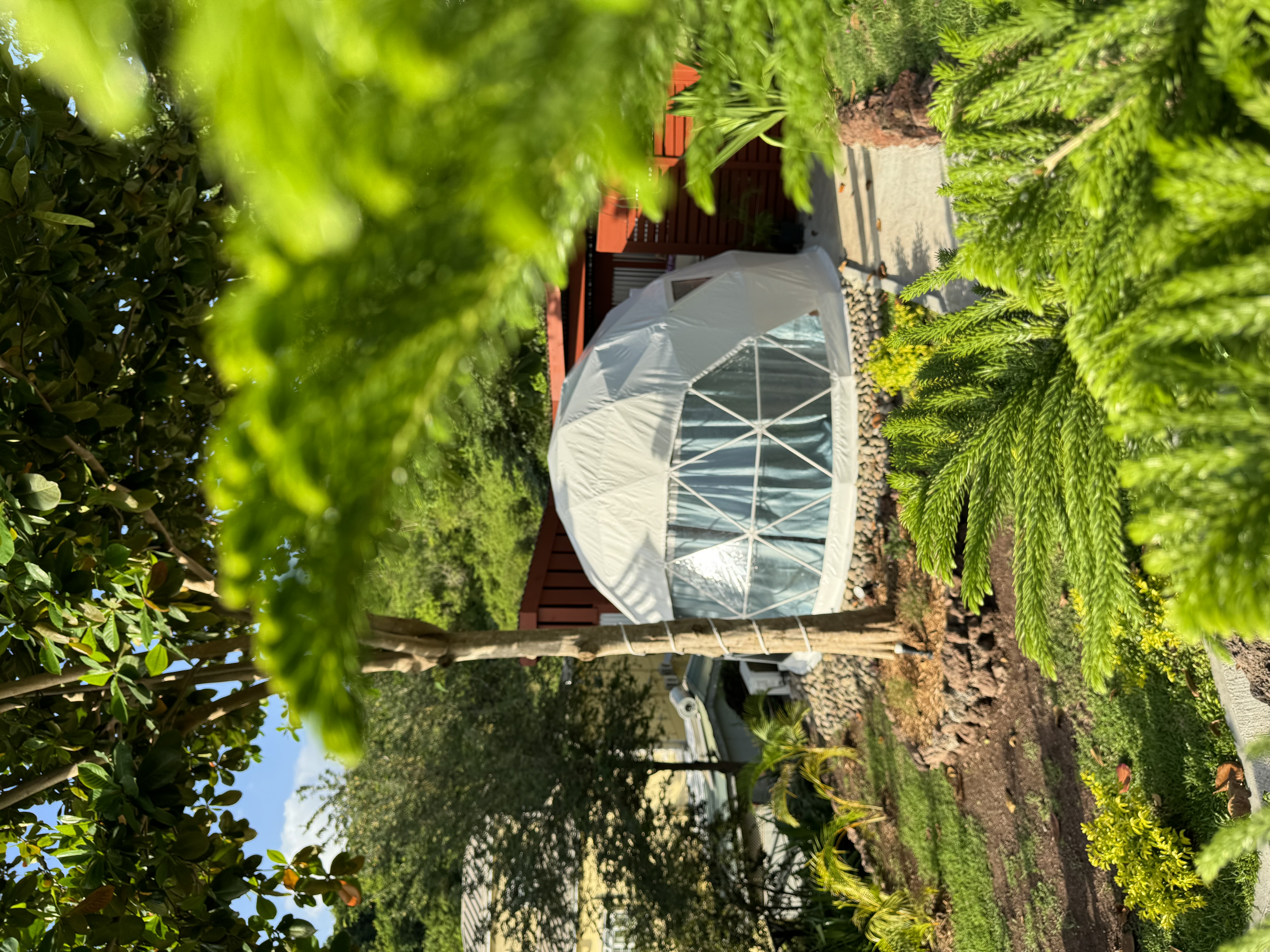 Unique Stay, Secret Garden, FREE Airport Pickup!