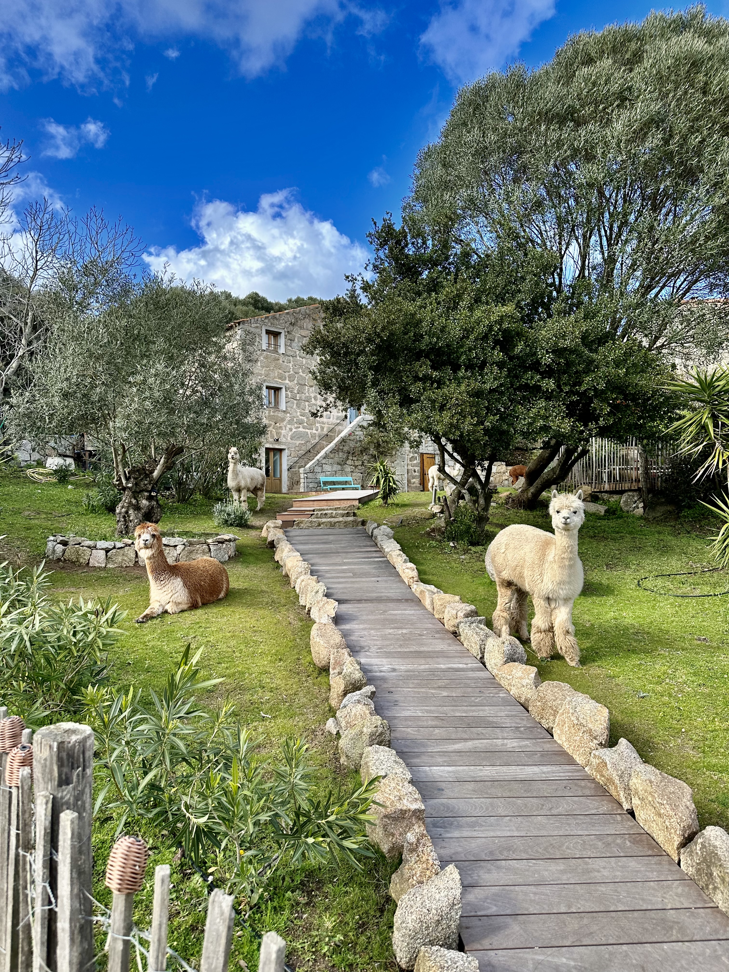 Authentic Corsican villa and private pool